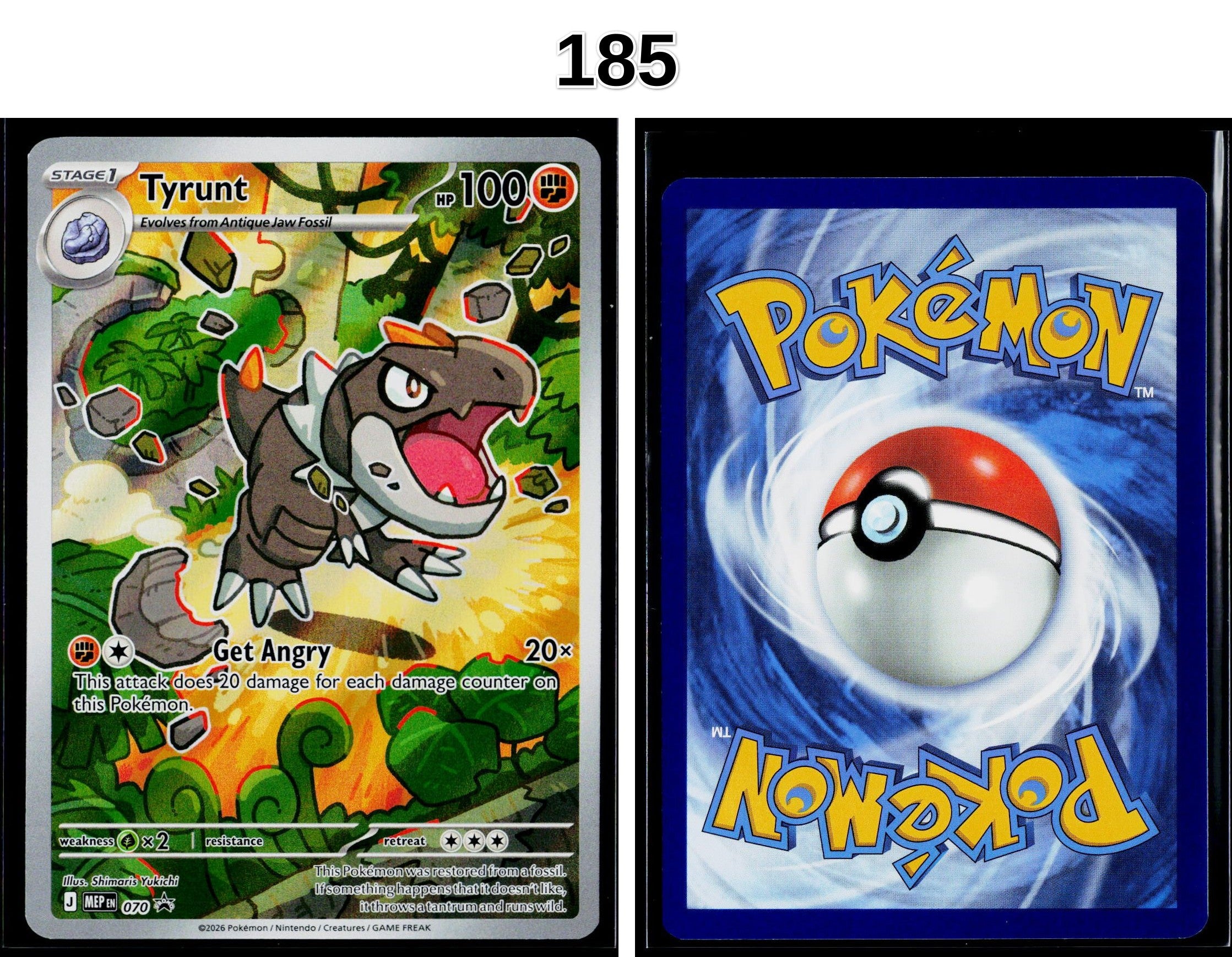 Front + Back scan