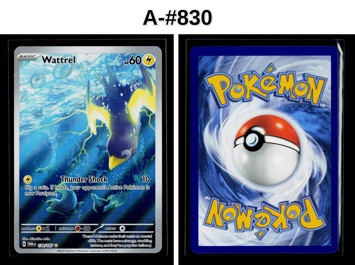 Front + Back scan