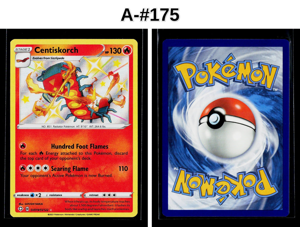 Front + Back scan