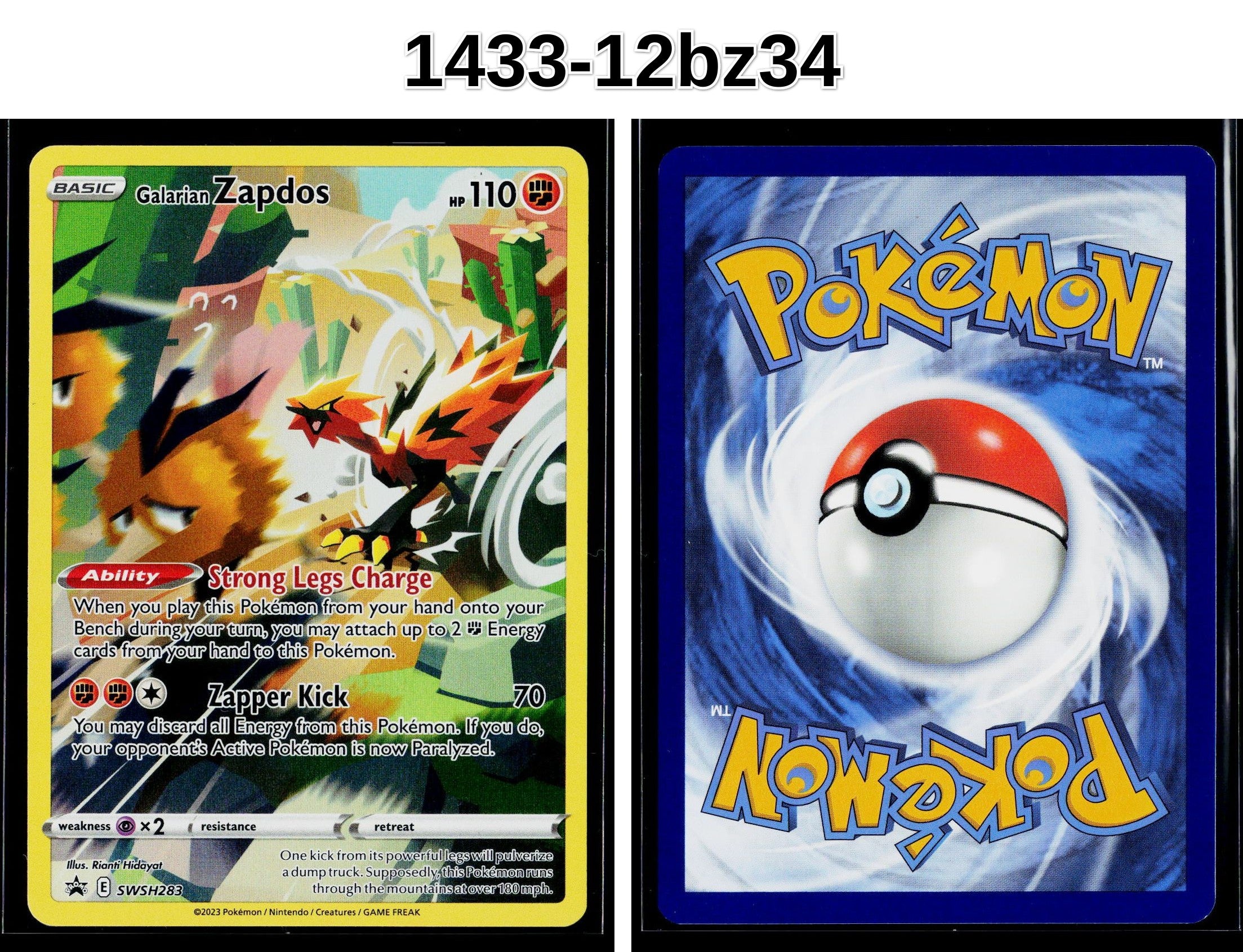 Front + Back scan