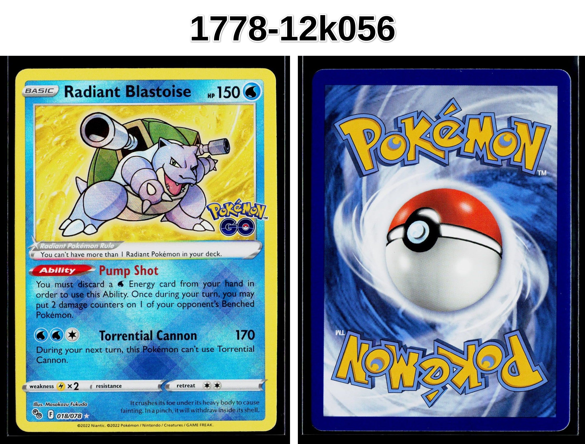 Front + Back scan