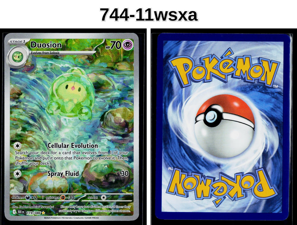 Front + Back scan