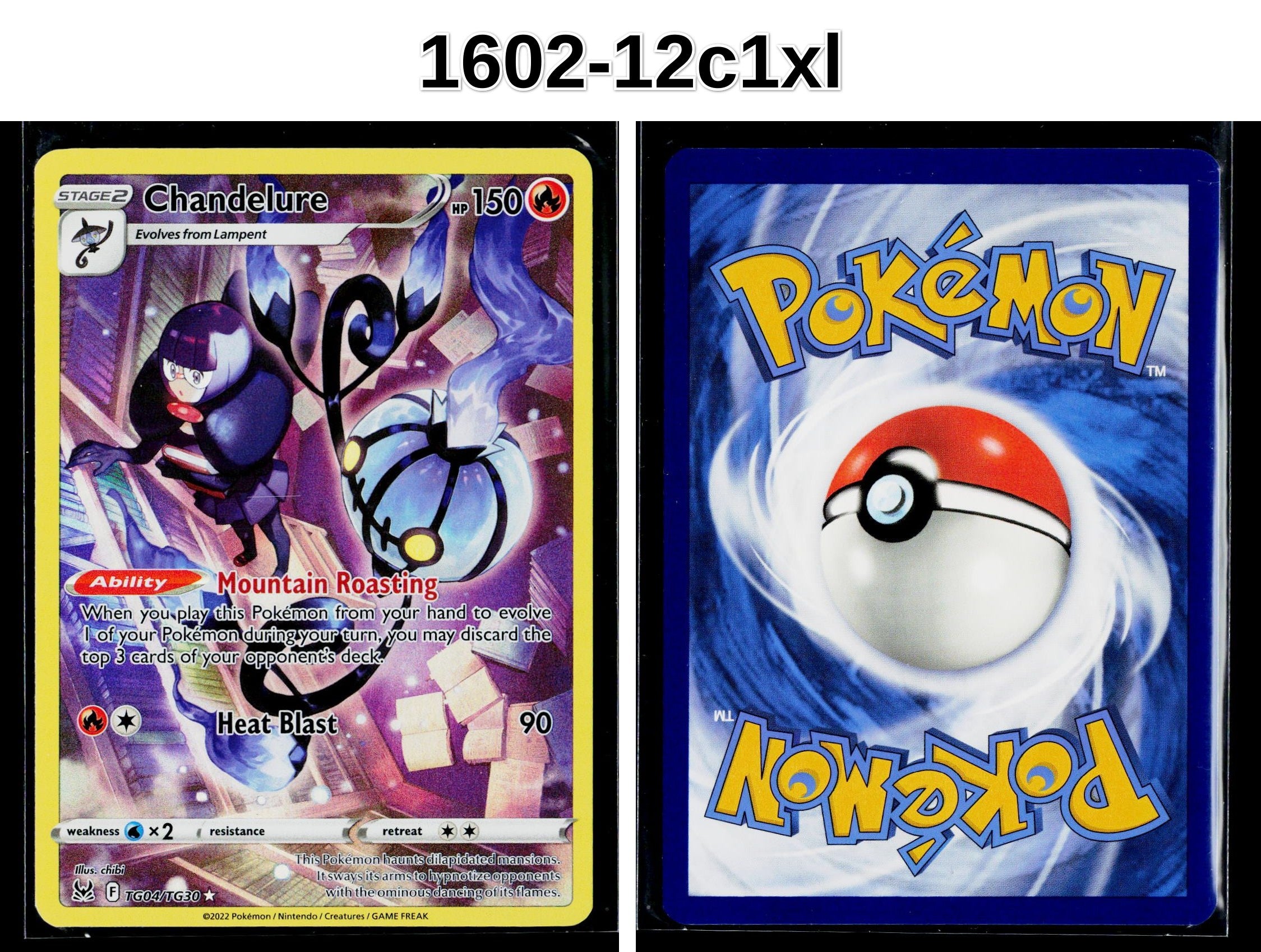 Front + Back scan
