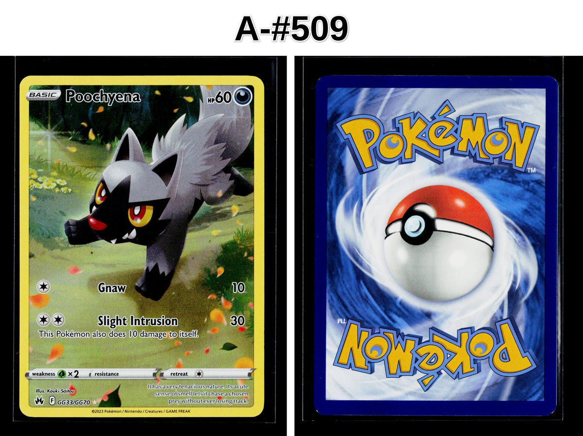 Front + Back scan | Near Mint / A-#509 / Holofoil