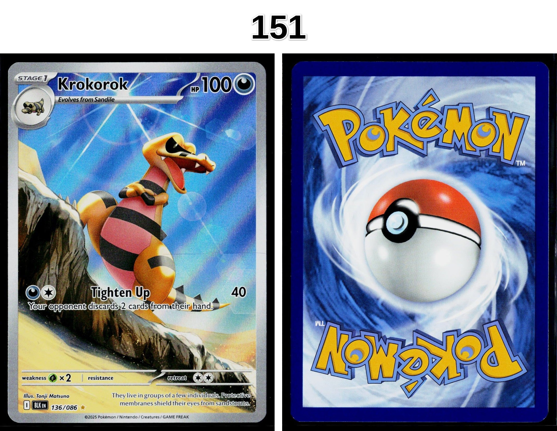 Front + Back scan