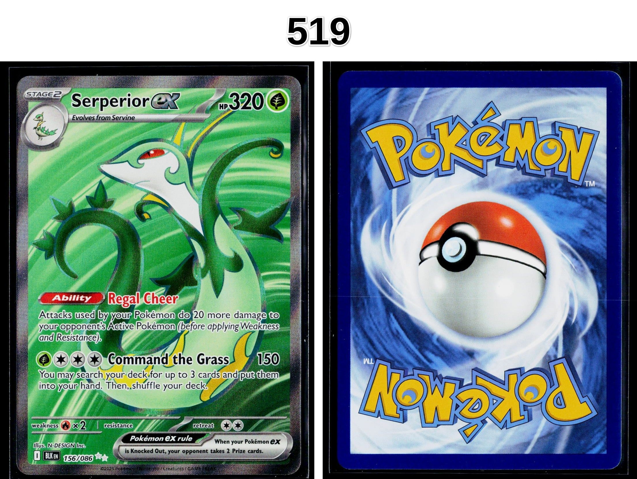Front + Back scan