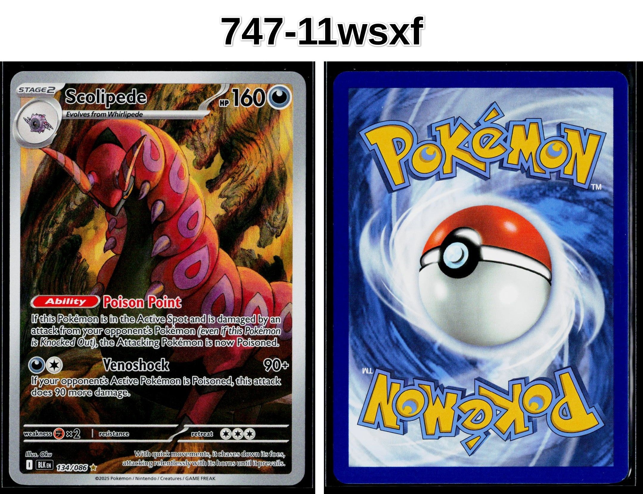 Front + Back scan