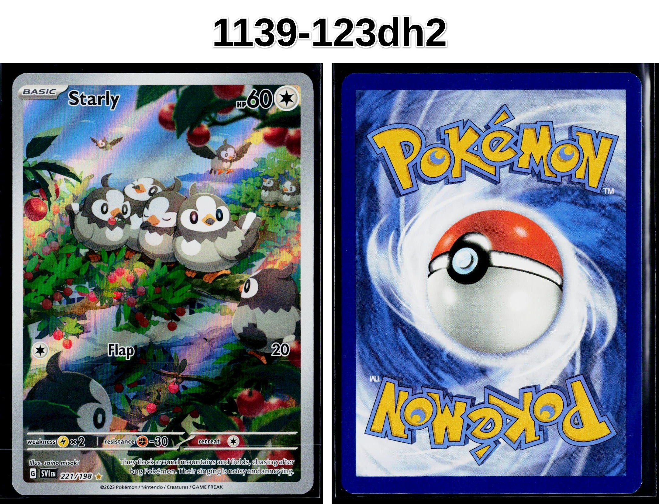 Front + Back scan