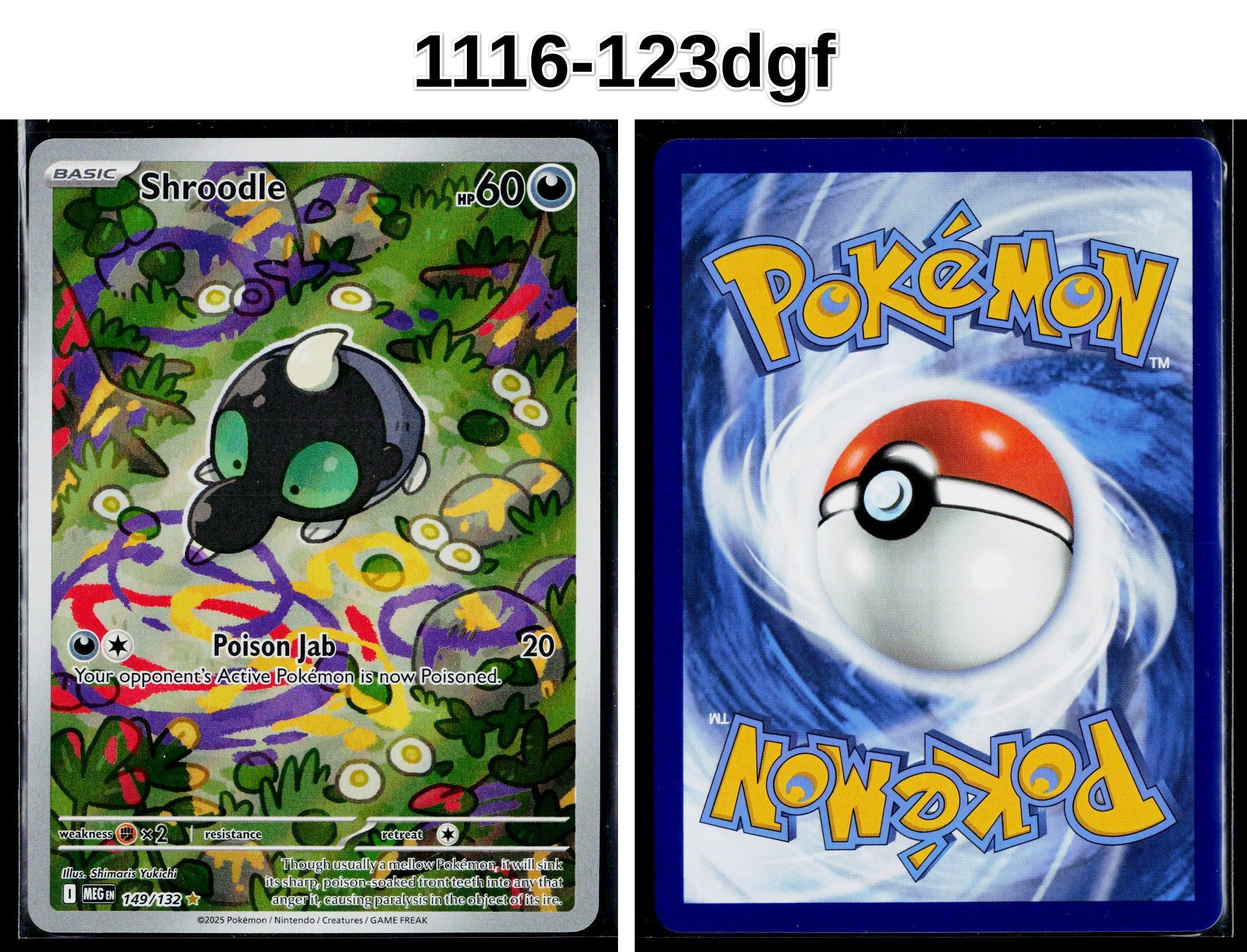Front + Back scan