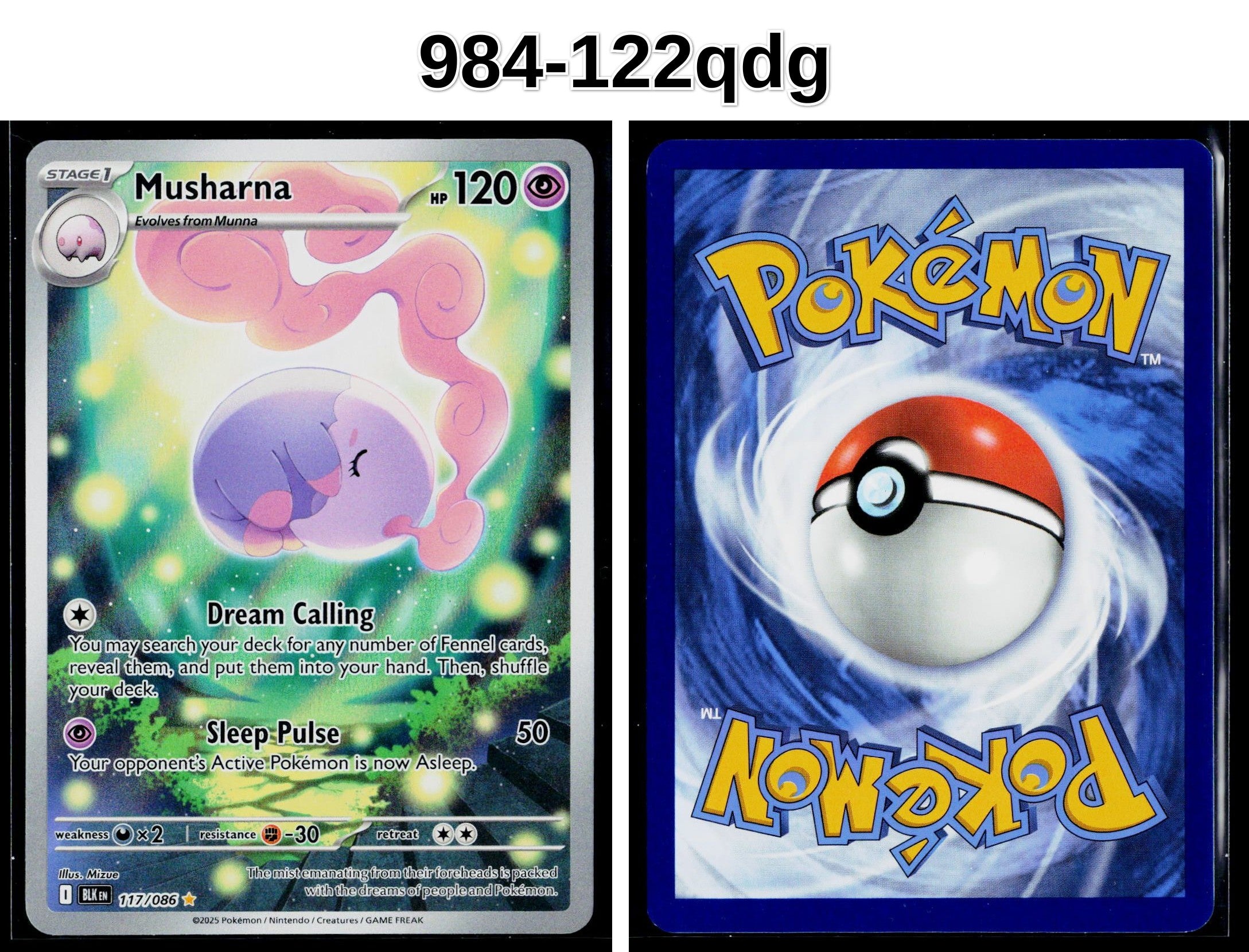 Front + Back scan