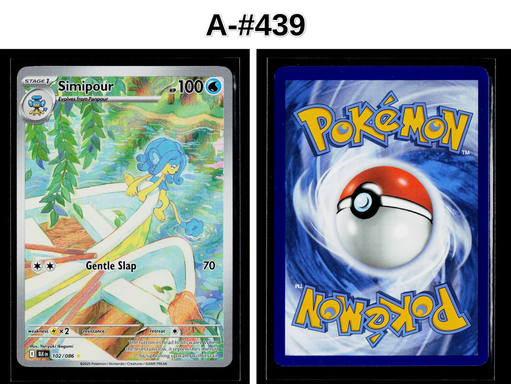 Front + Back scan