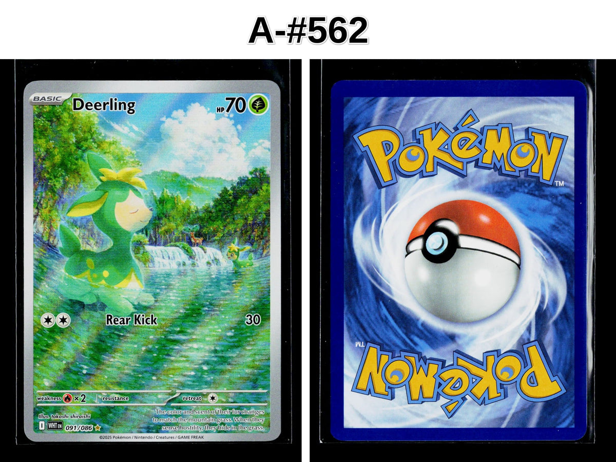 Front + Back scan