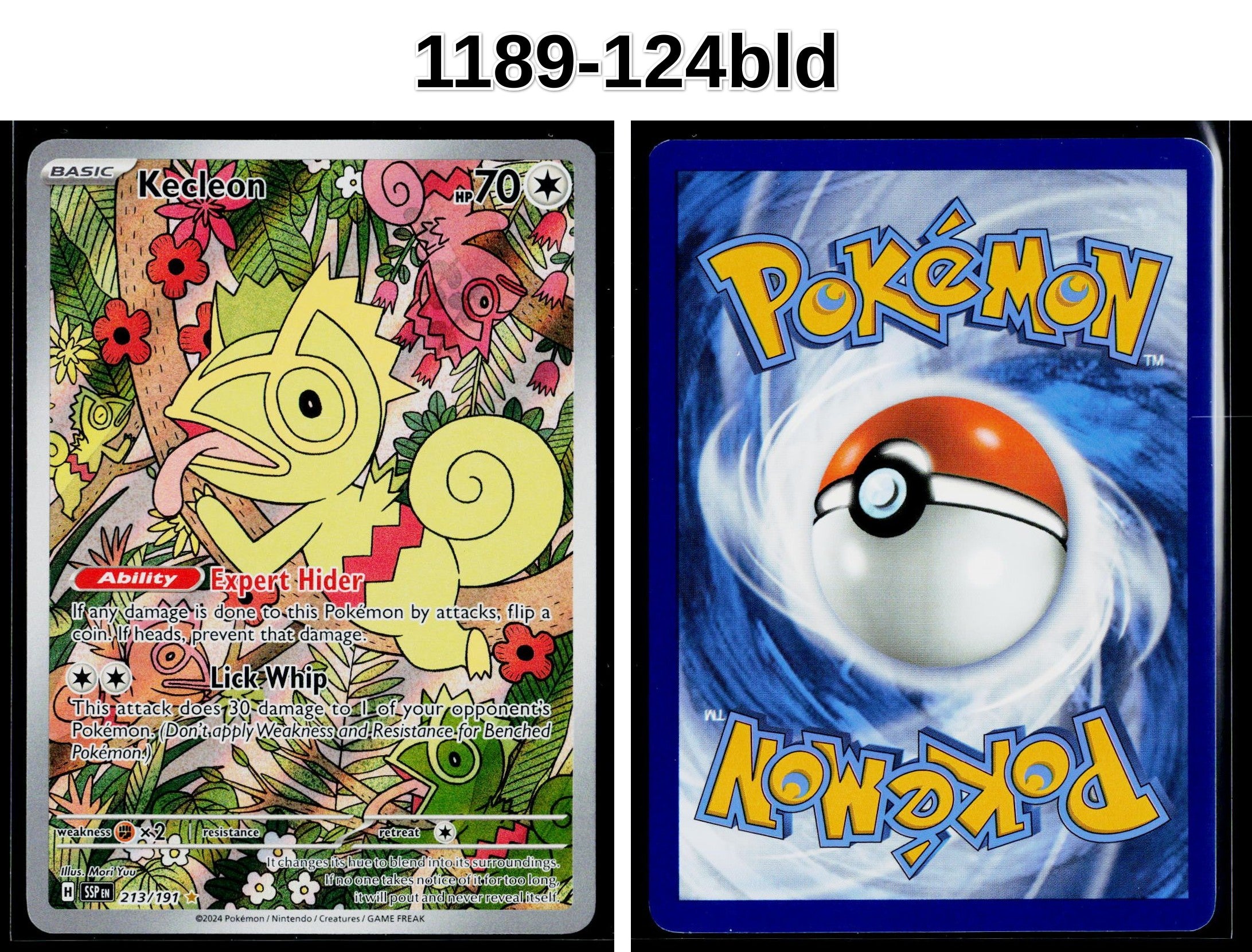 Front + Back scan