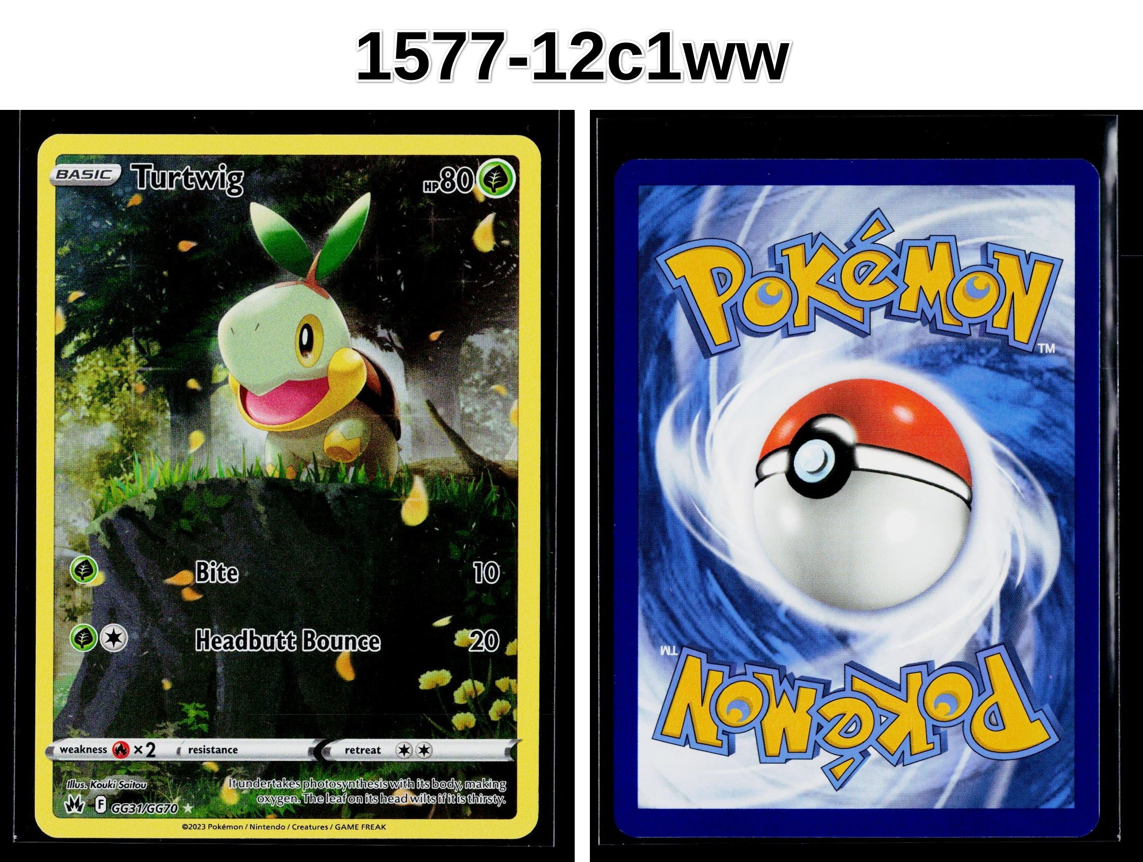 Front + Back scan