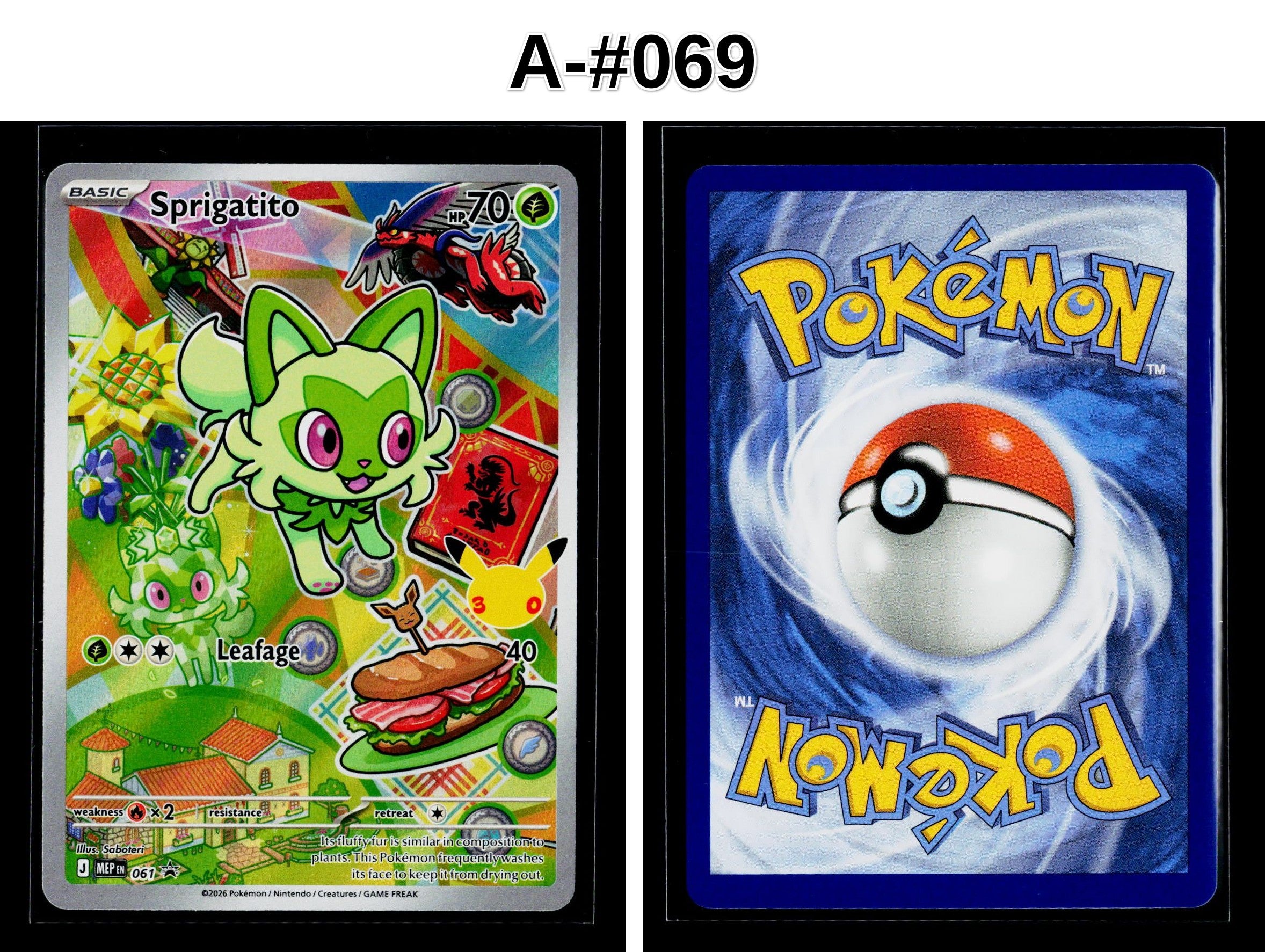 Front + Back scan