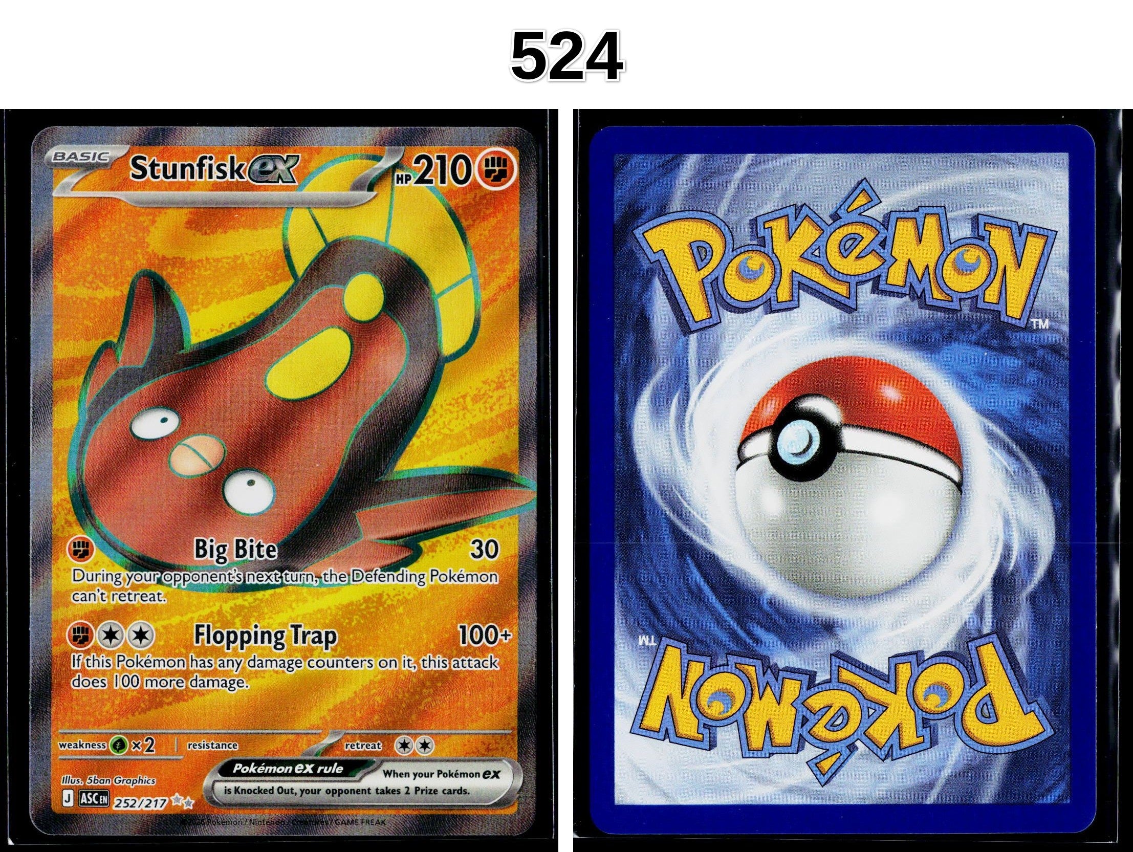 Front + Back scan