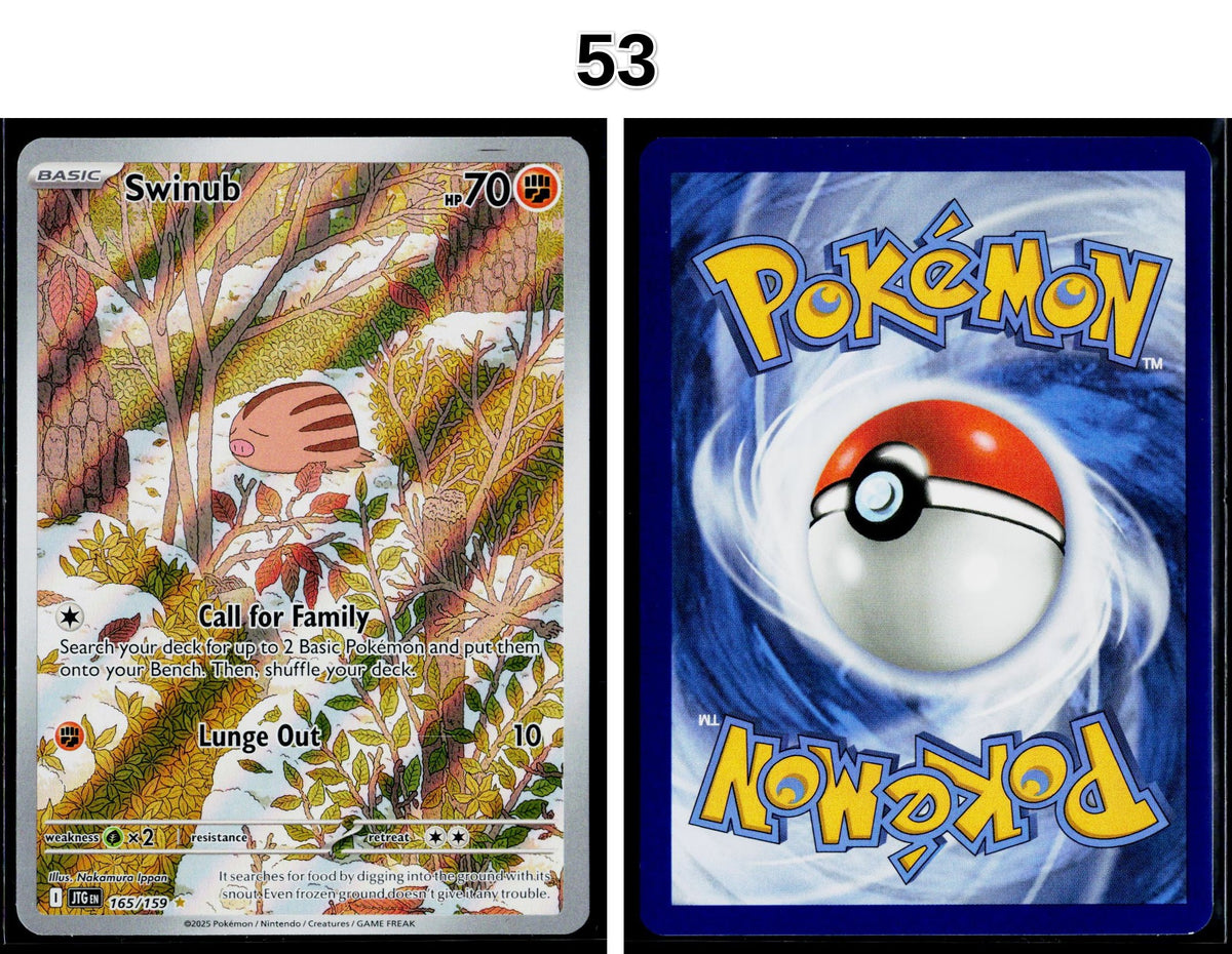 Front + Back scan