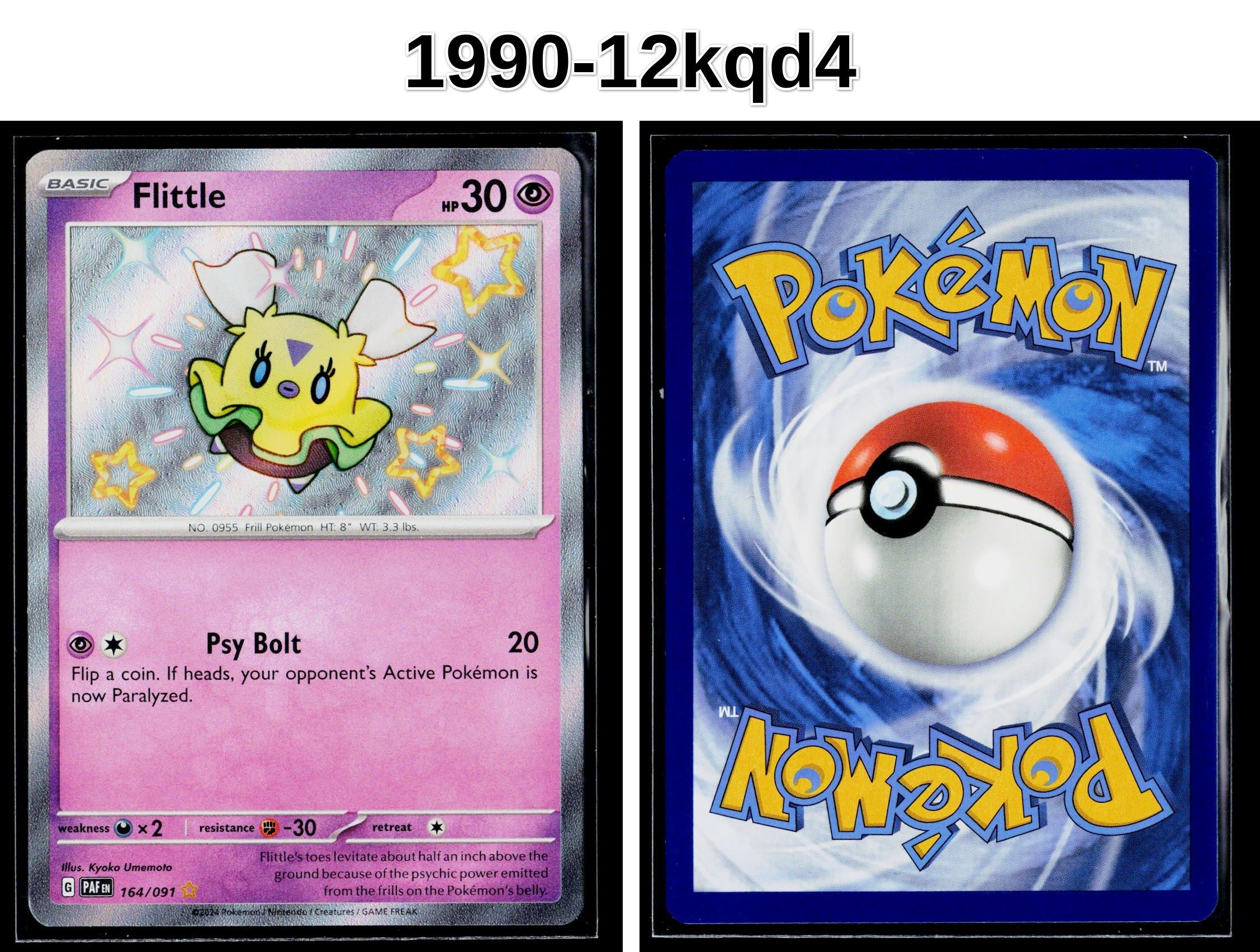 Front + Back scan