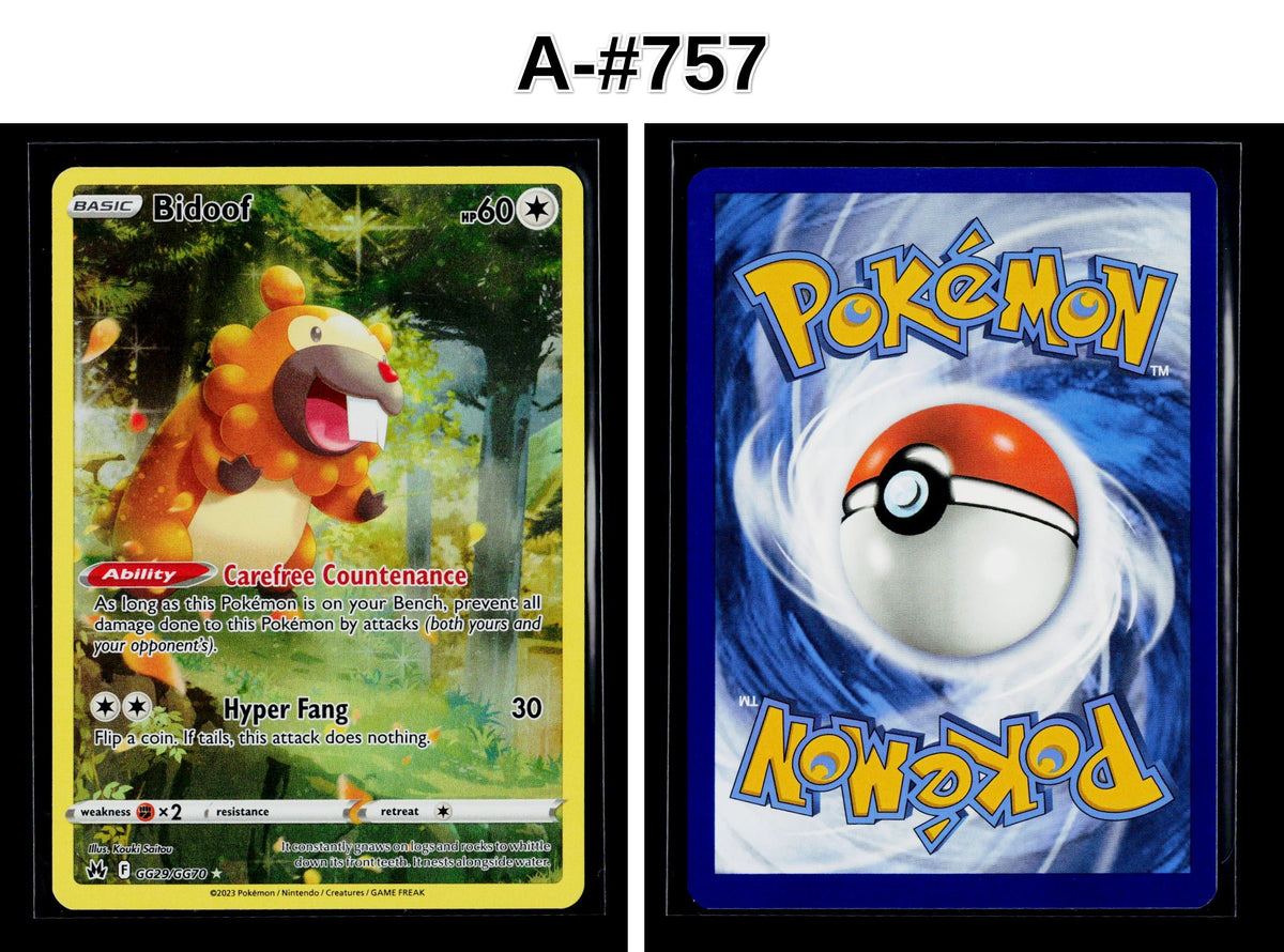 Front + Back scan