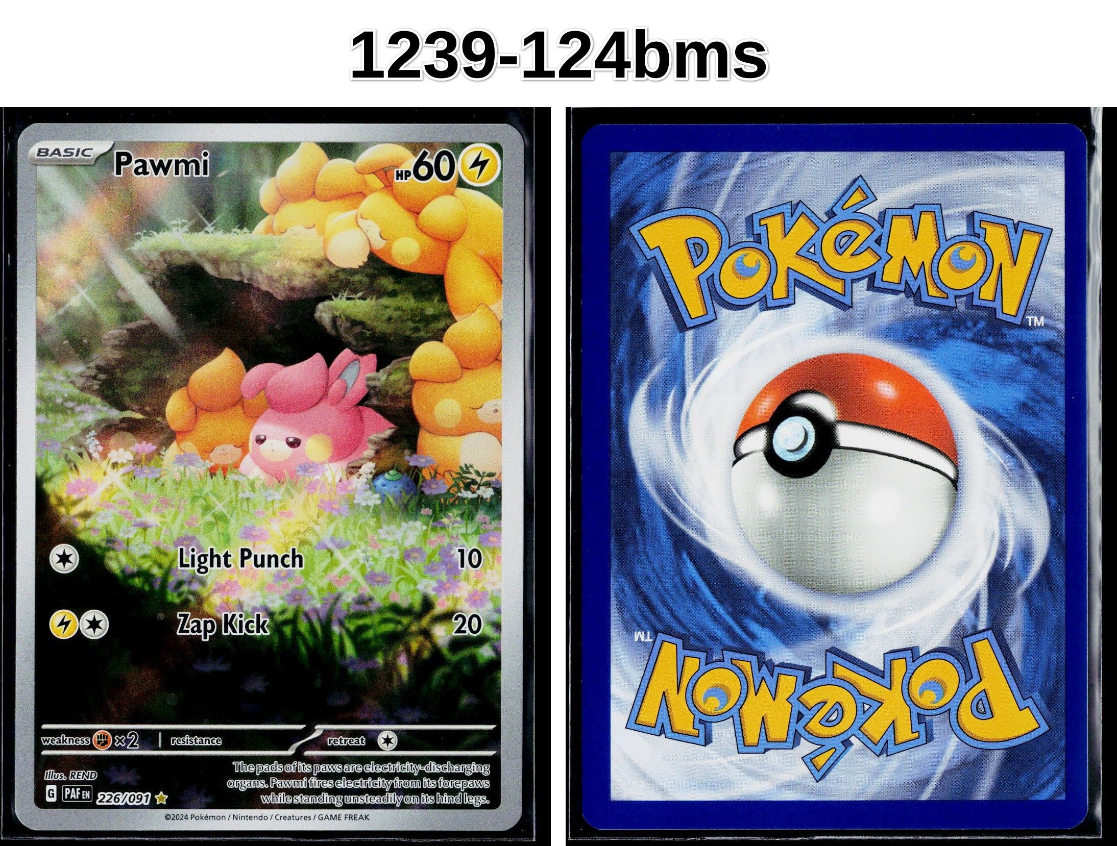 Front + Back scan