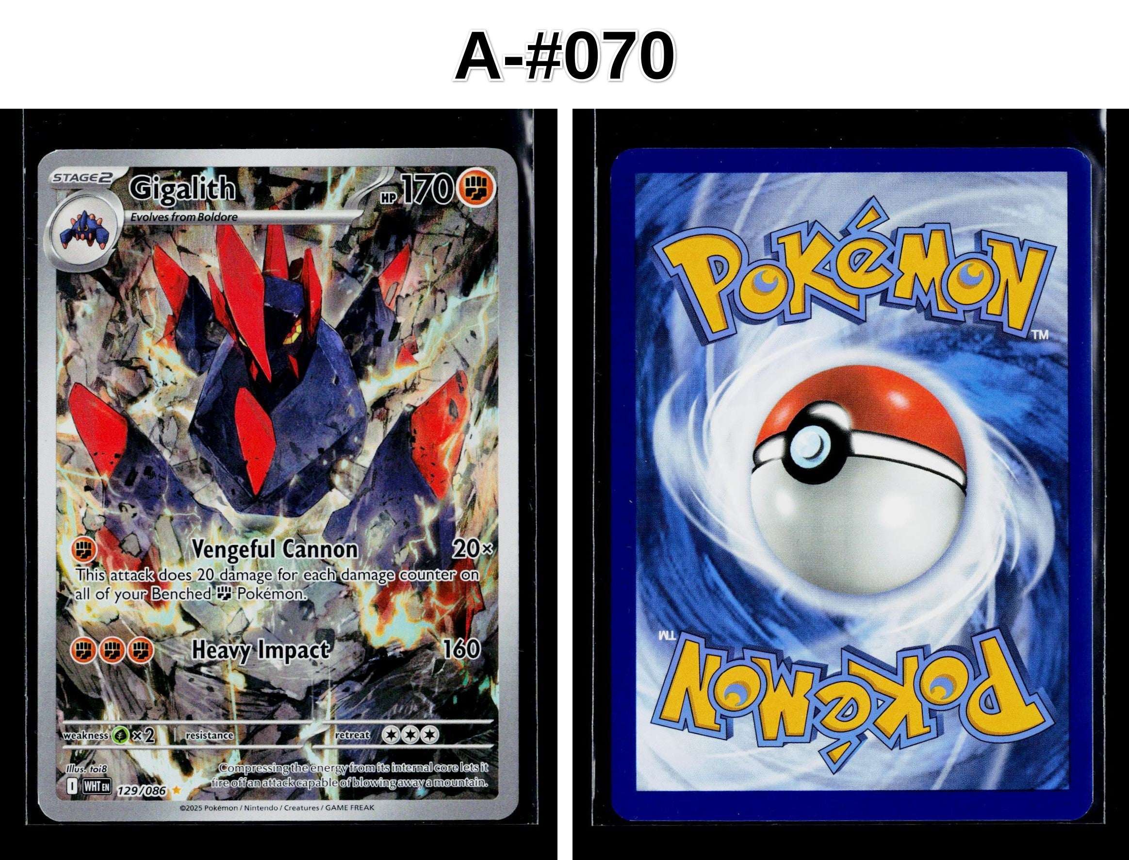 Front + Back scan