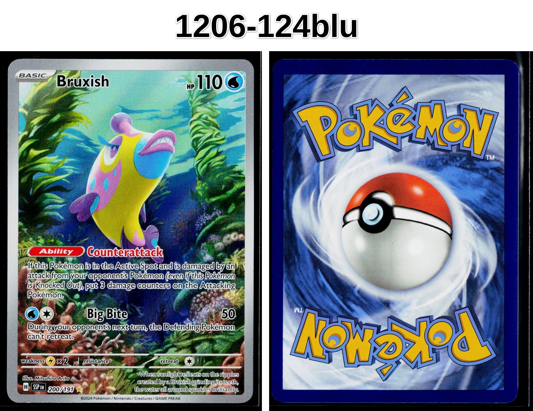 Front + Back scan