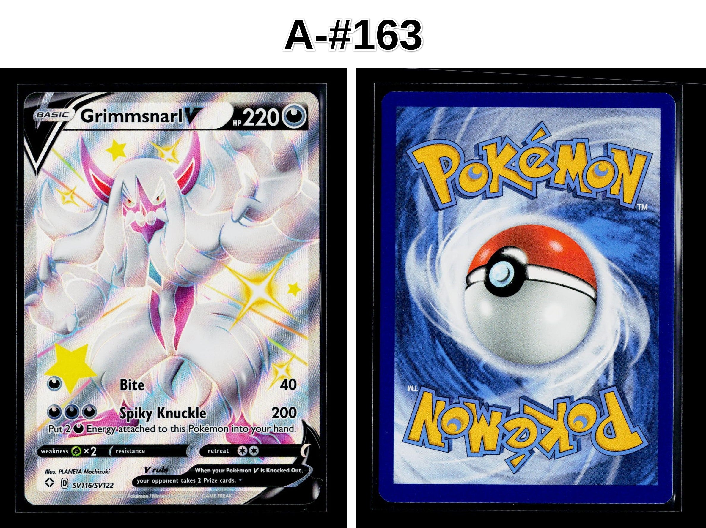 Front + Back scan