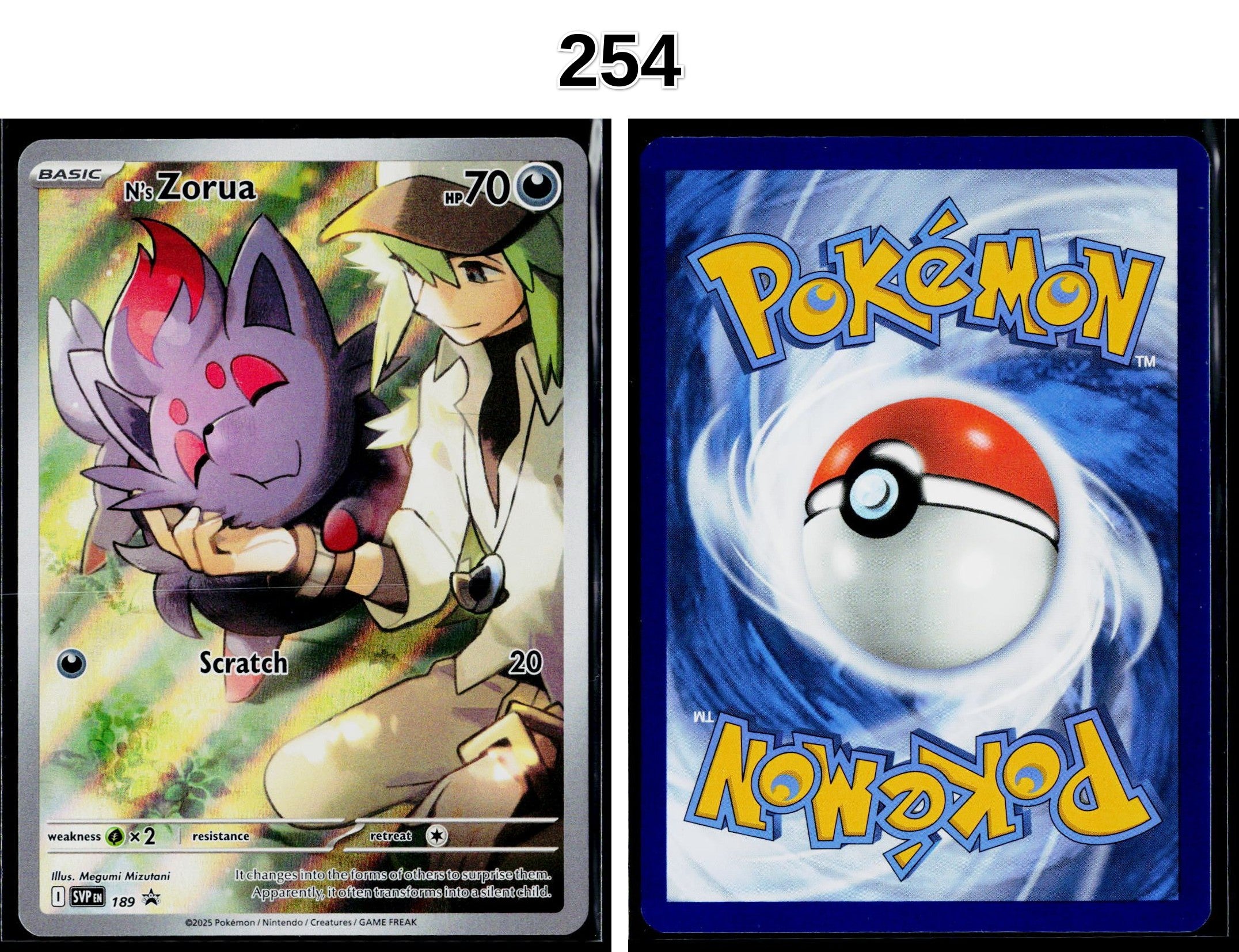 Front + Back scan