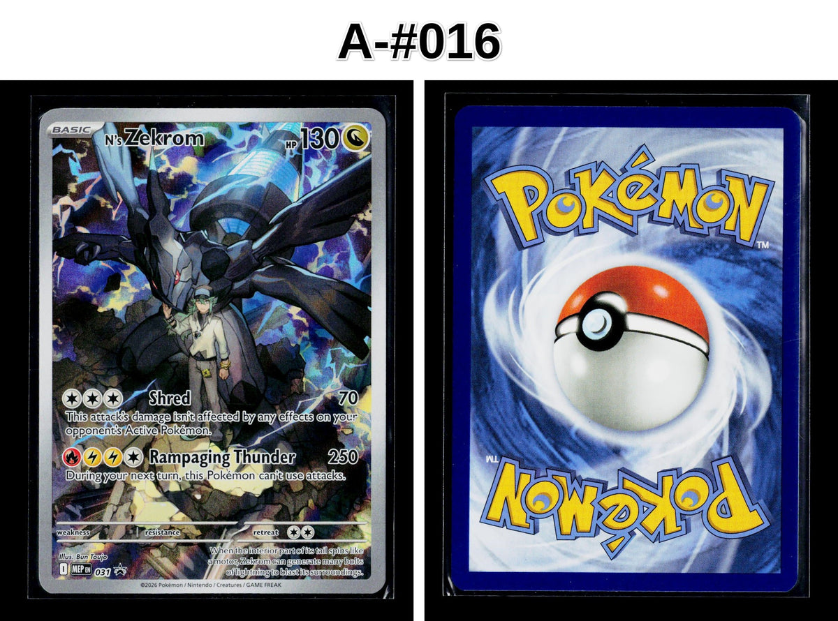 Front + Back scan