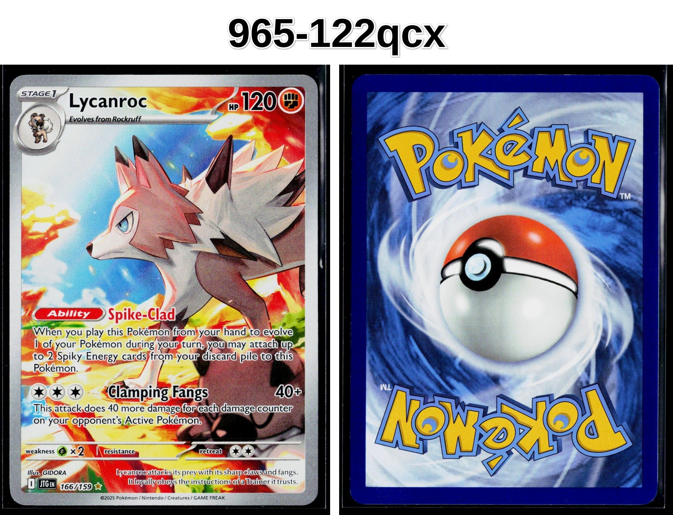 Front + Back scan
