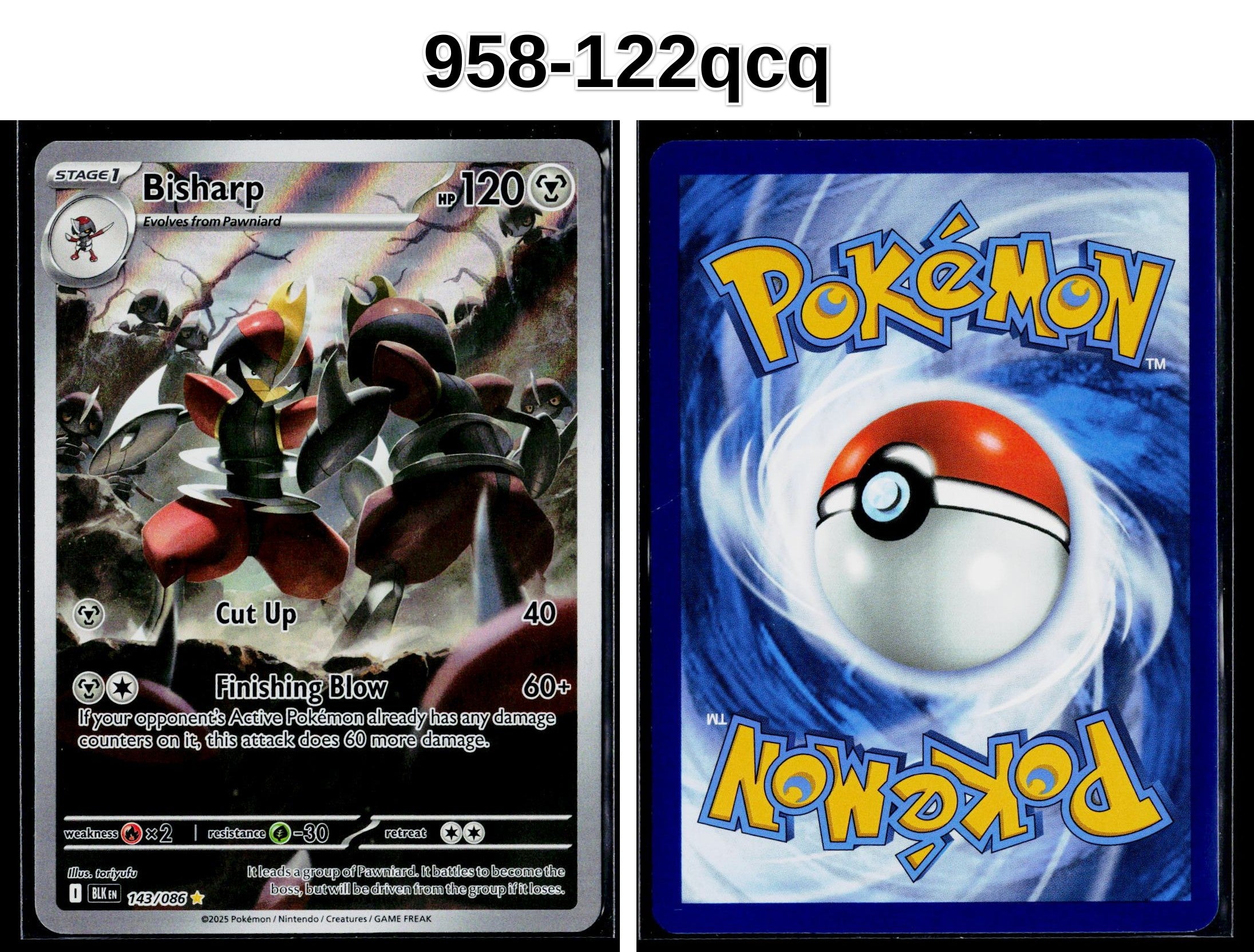 Front + Back scan