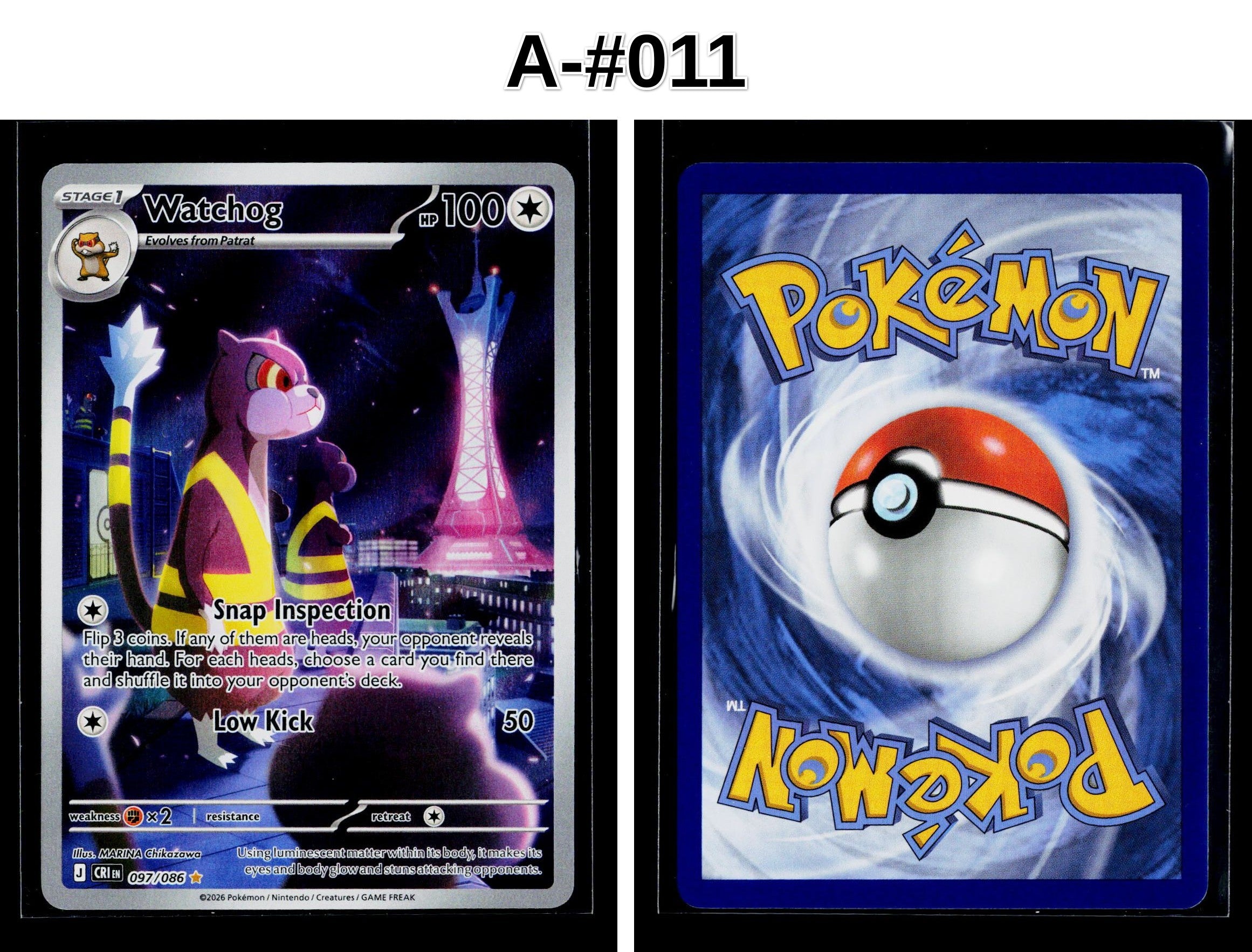 Front + Back scan