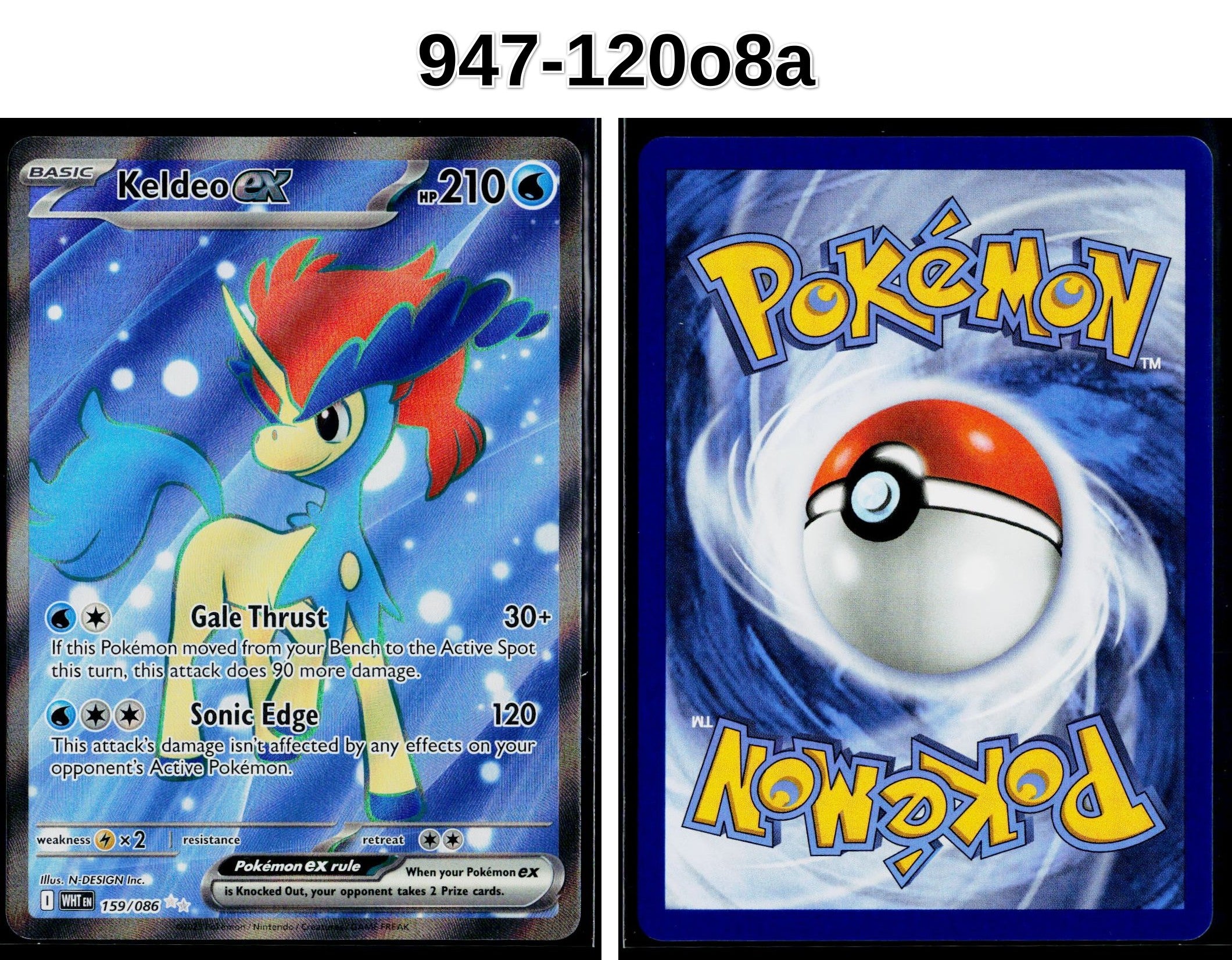 Front + Back scan