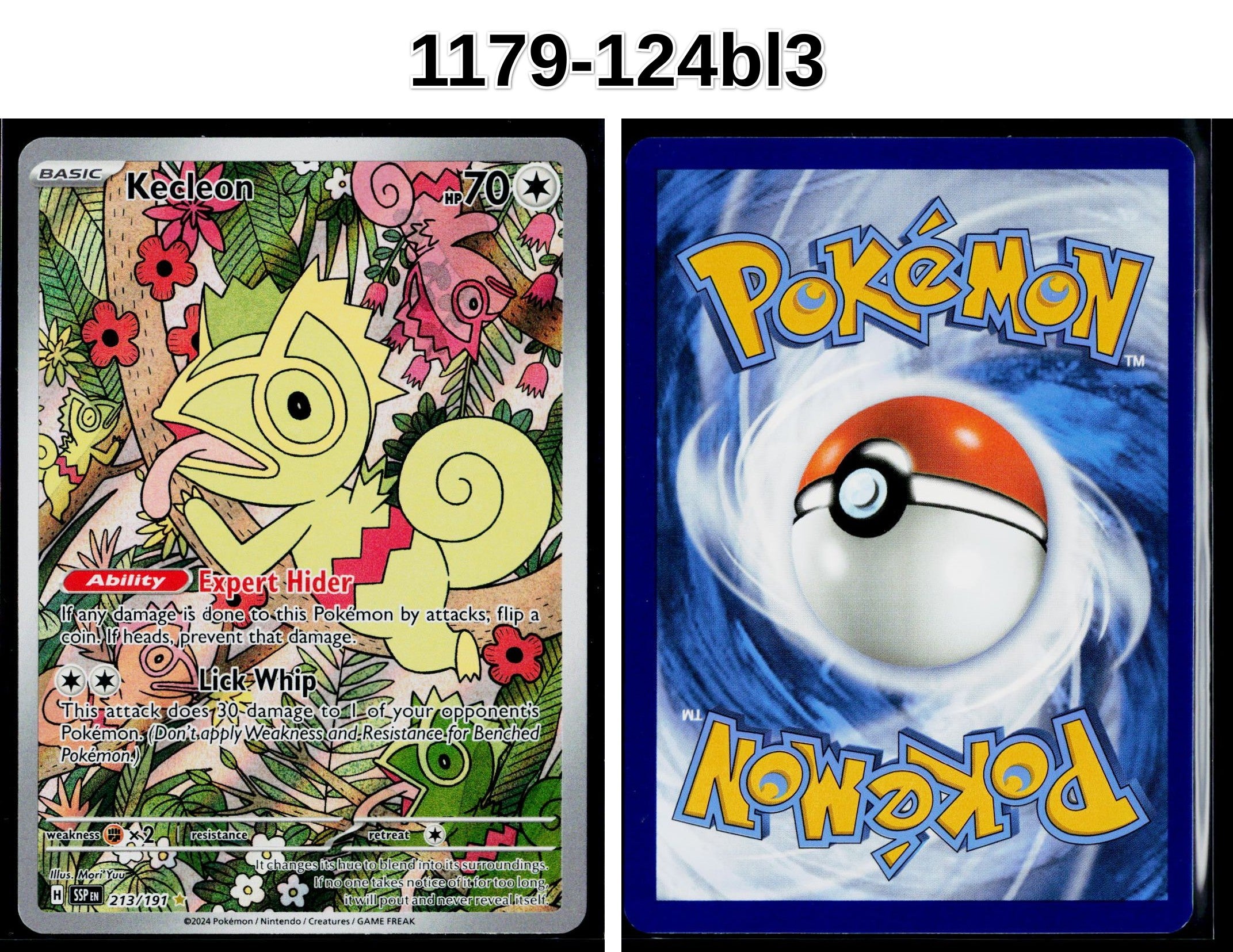 Front + Back scan