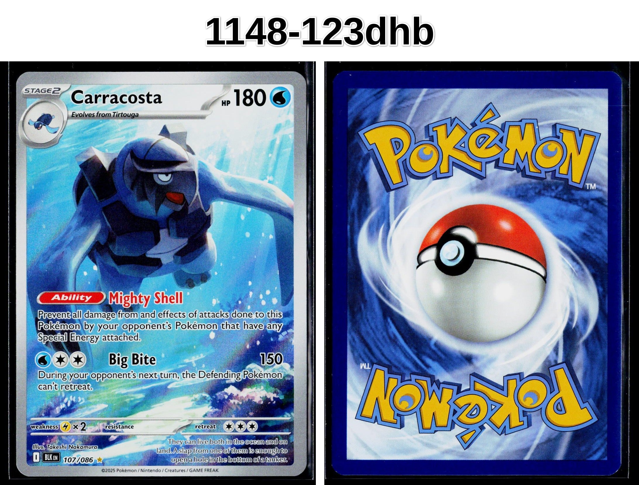 Front + Back scan
