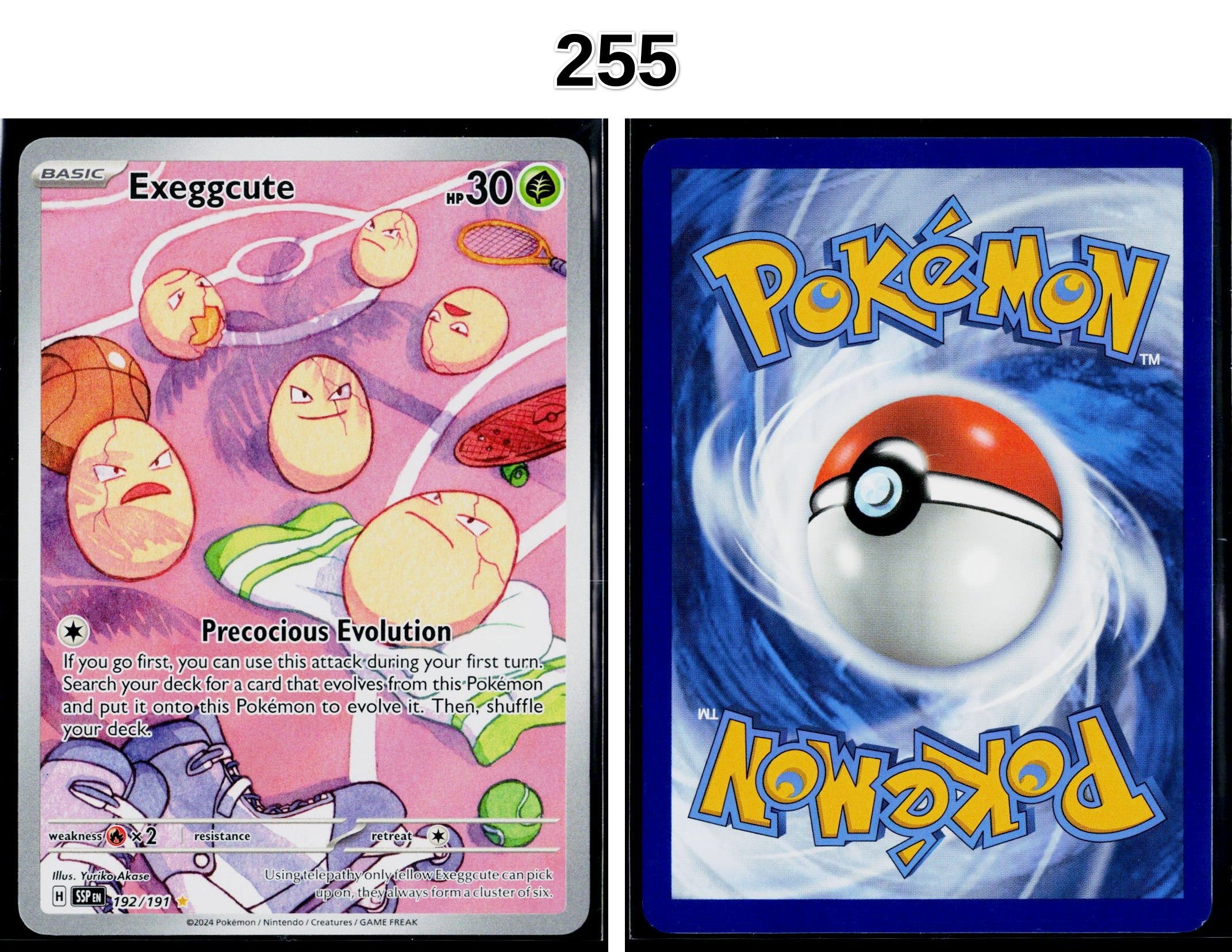 Front + Back scan