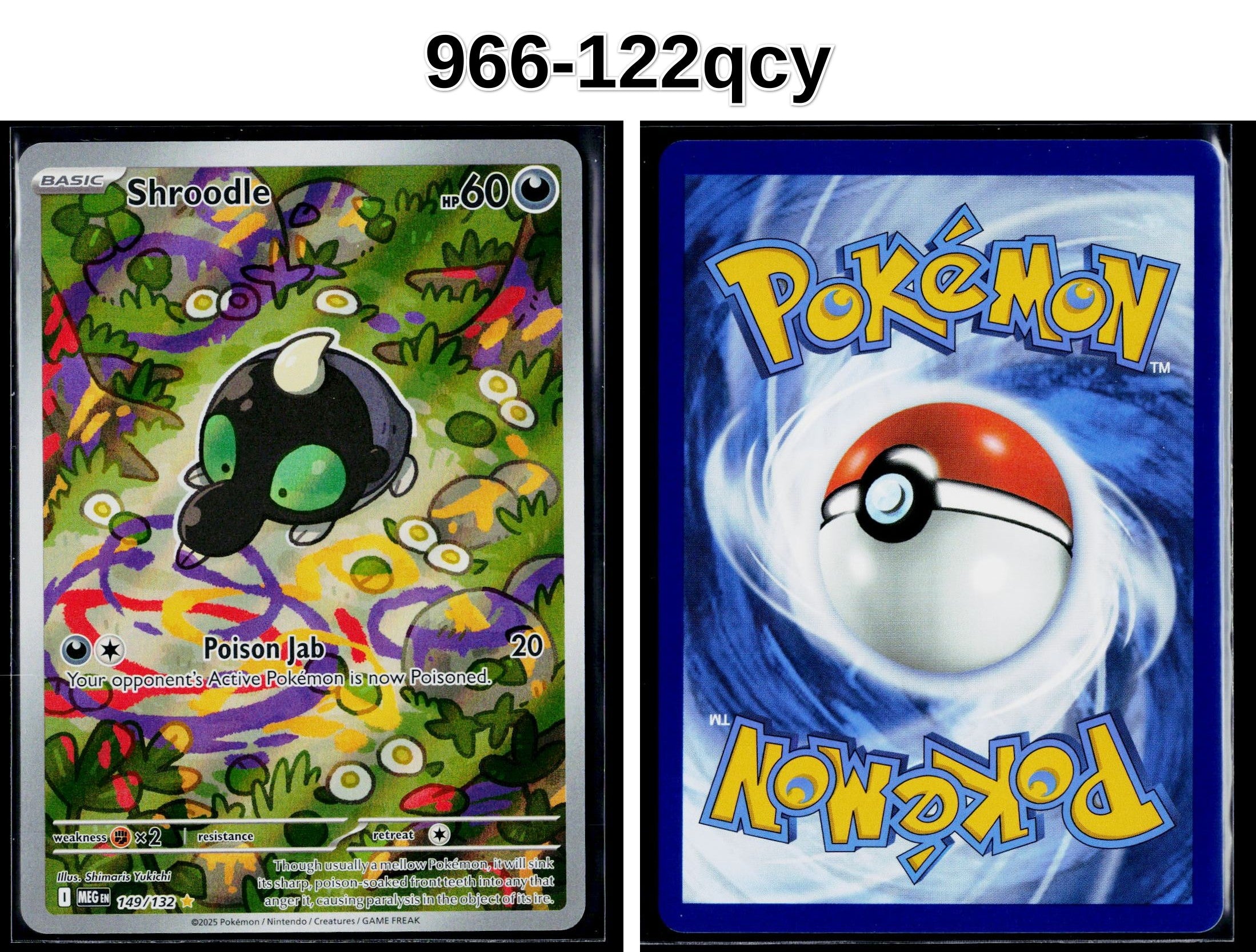 Front + Back scan