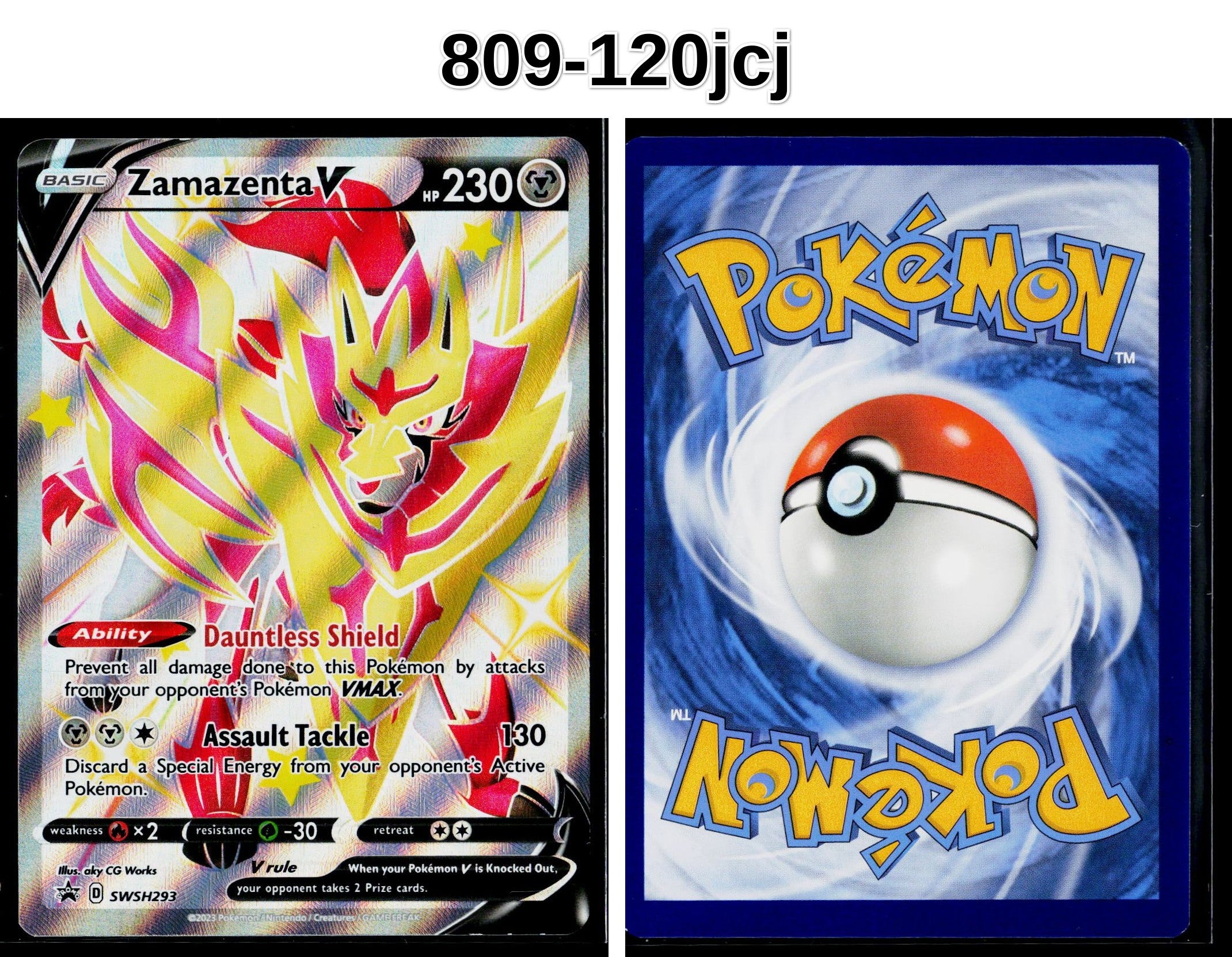 Front + Back scan