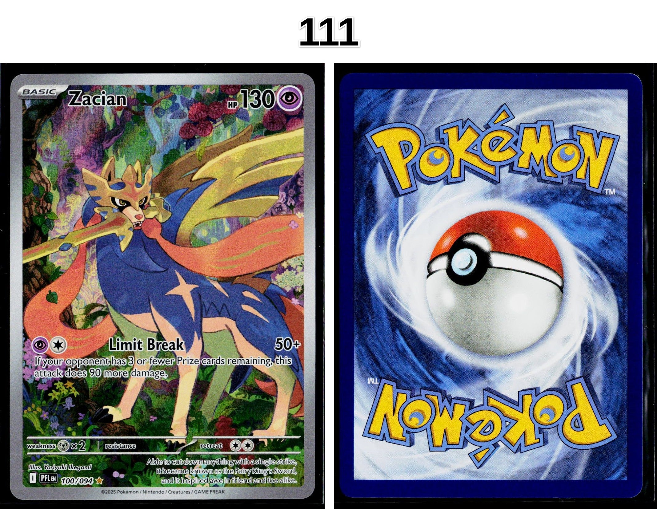 Front + Back scan