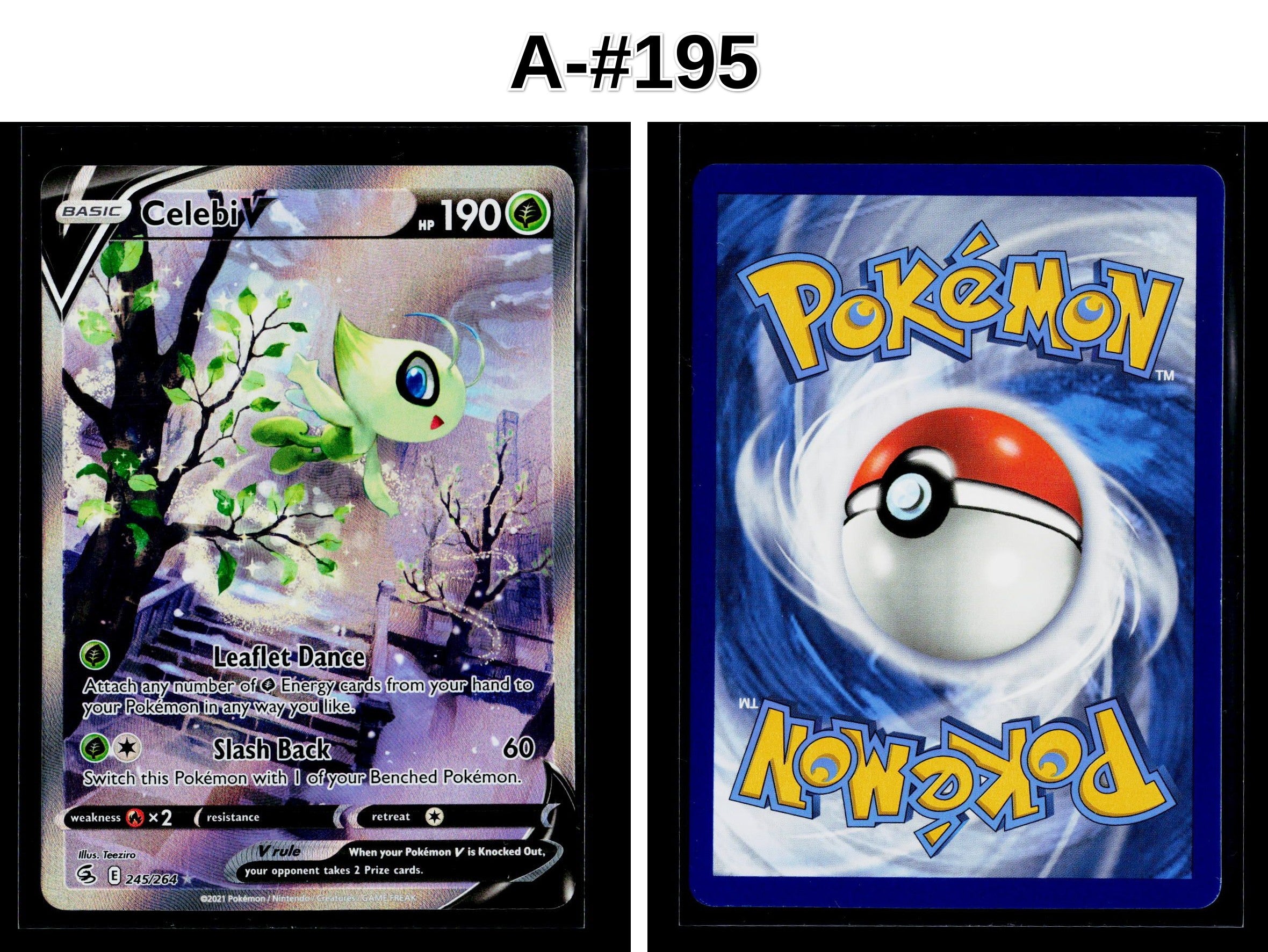 Front + Back scan
