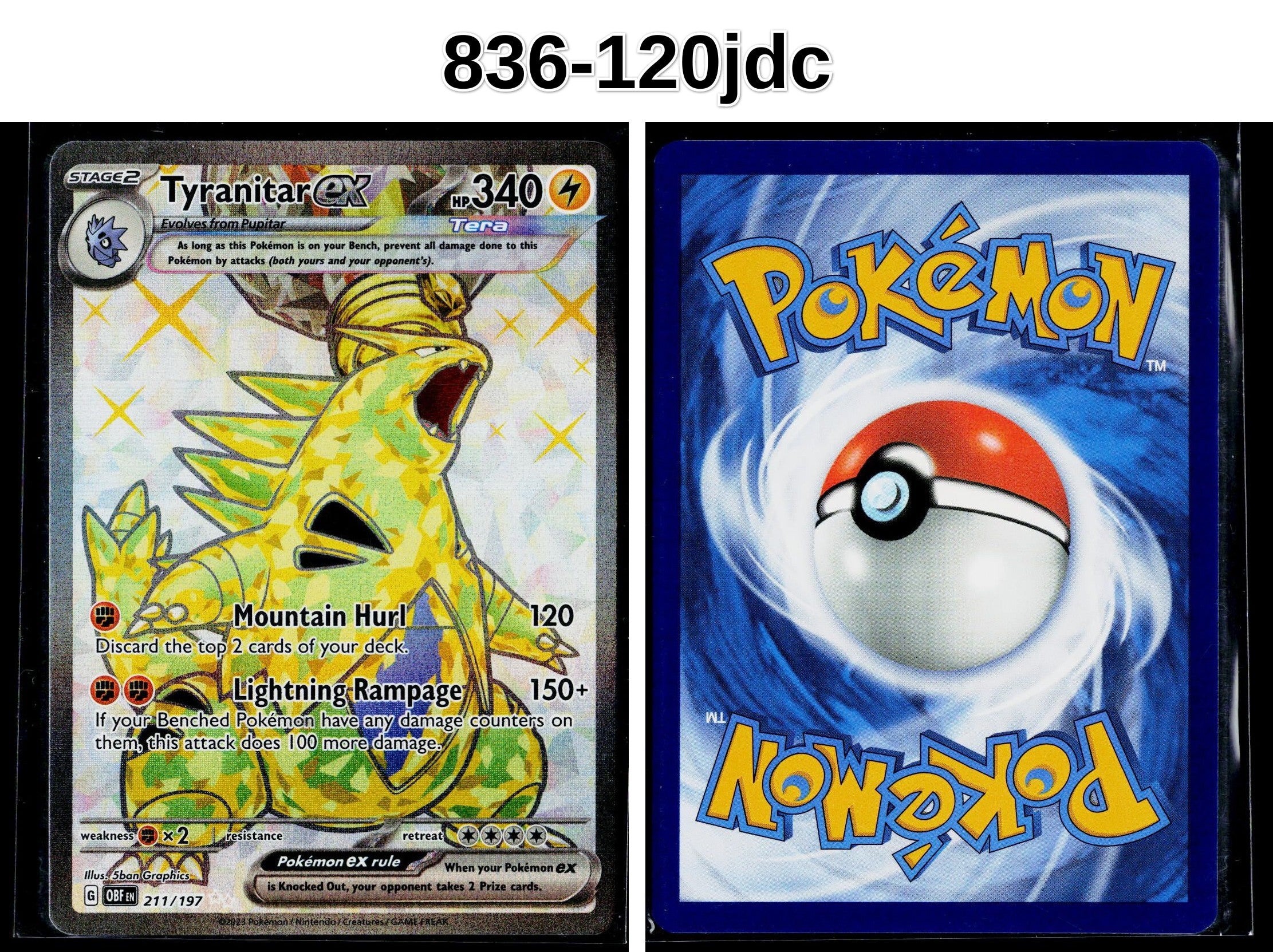 Front + Back scan