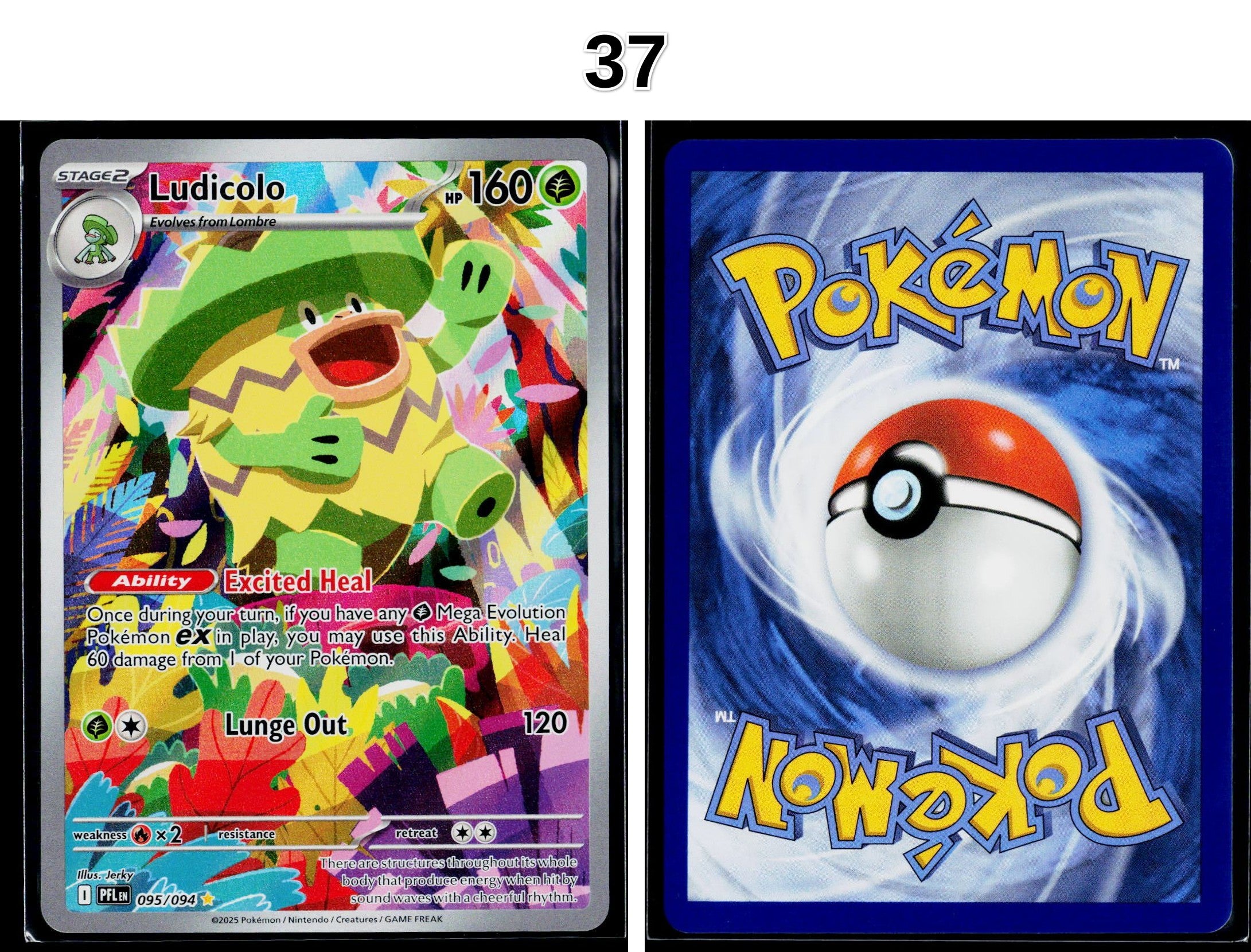 Front + Back scan
