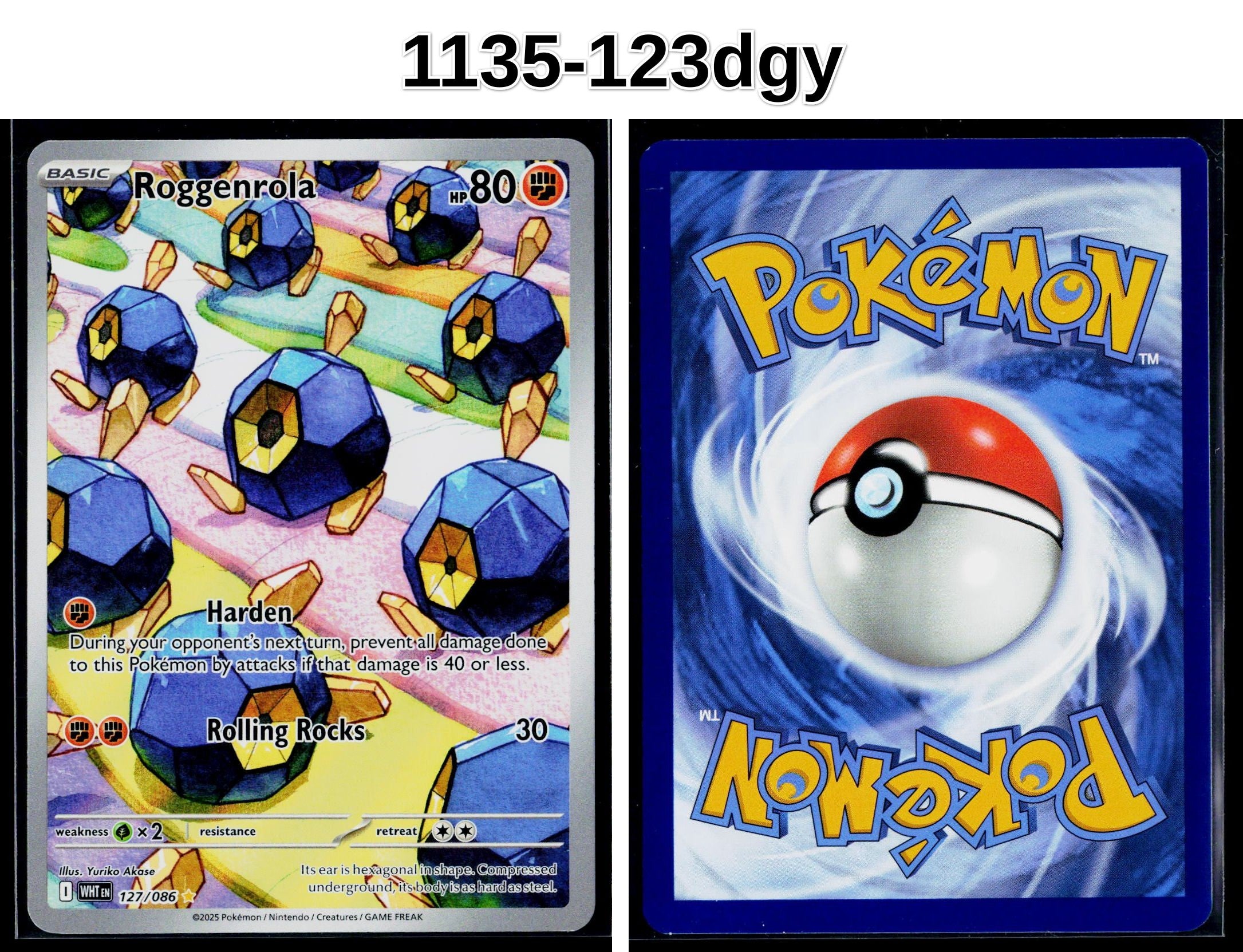 Front + Back scan