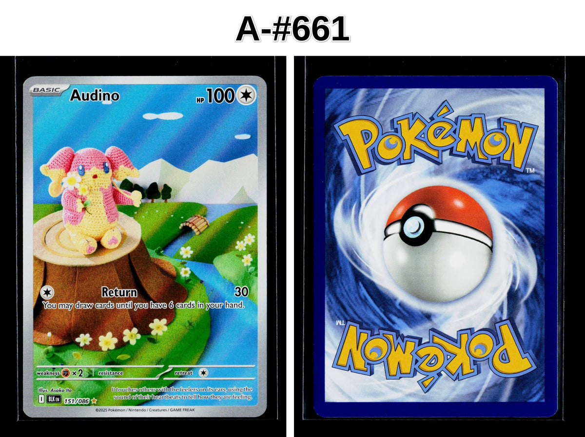 Front + Back scan