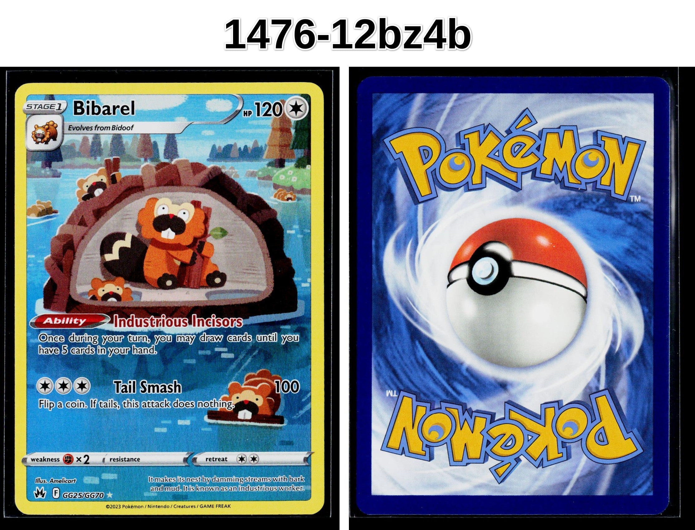 Front + Back scan