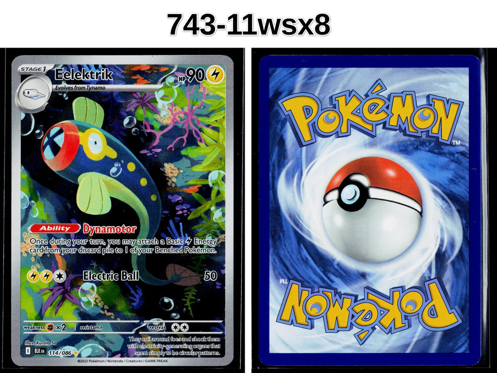 Front + Back scan