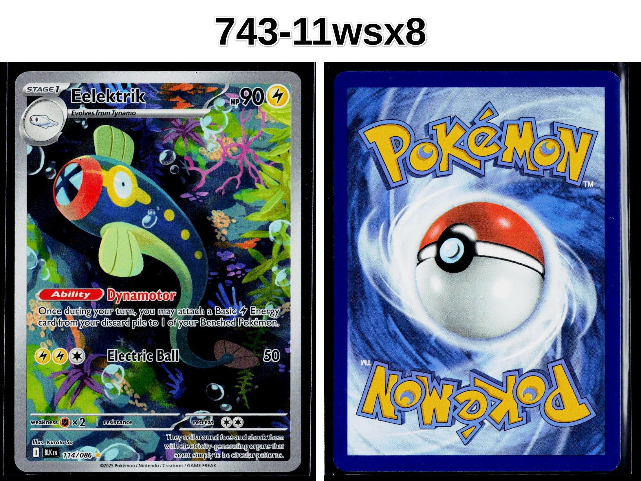 Front + Back scan