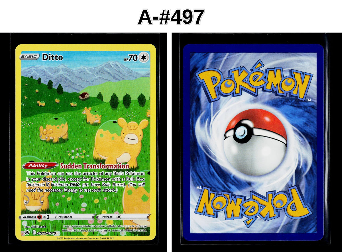 Front + Back scan