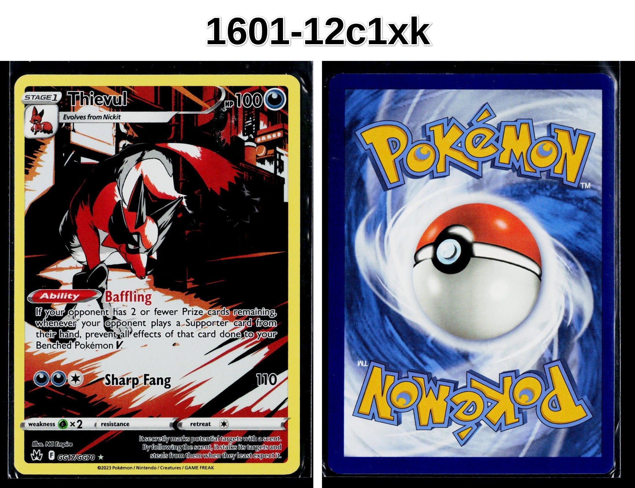 Front + Back scan