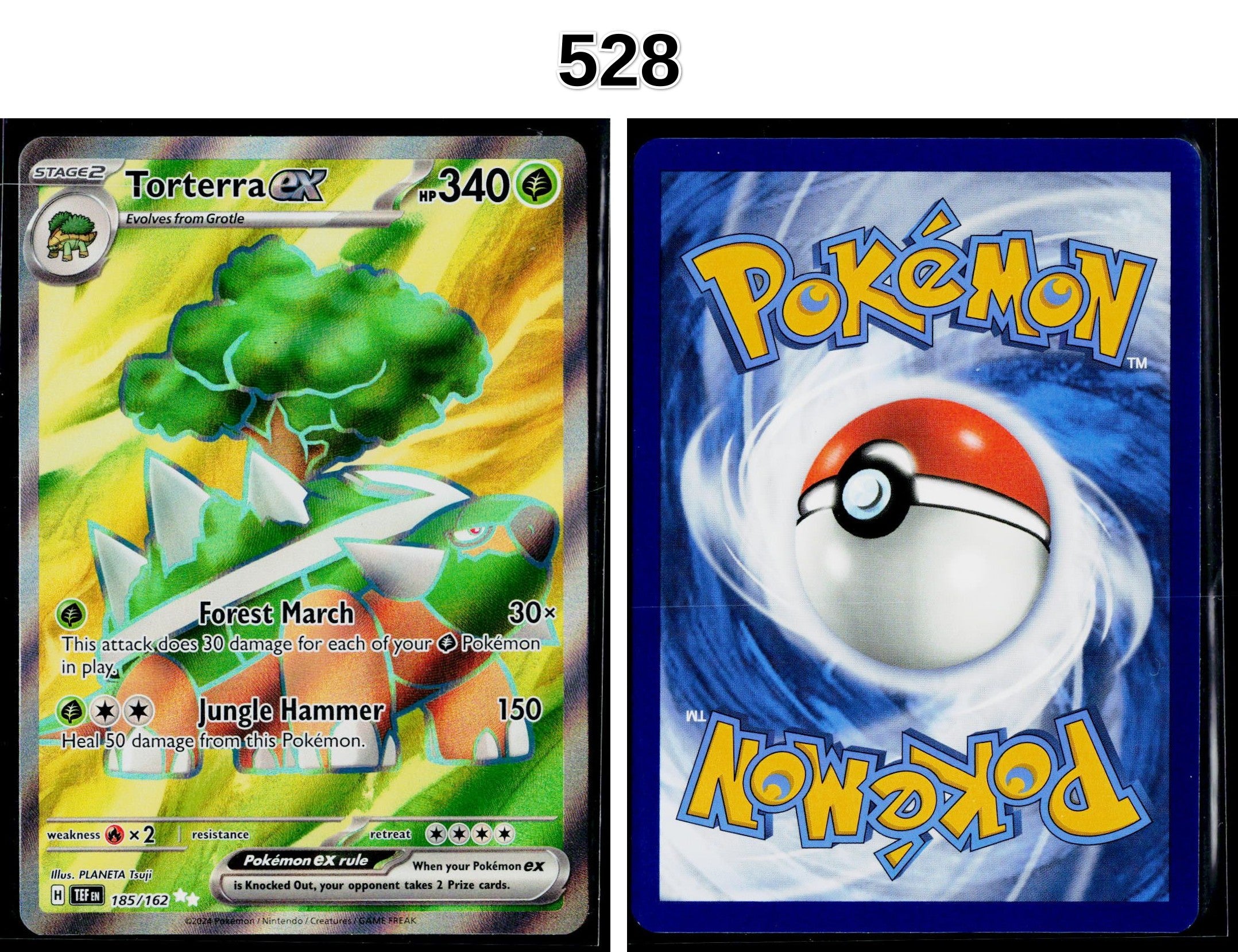 Front + Back scan